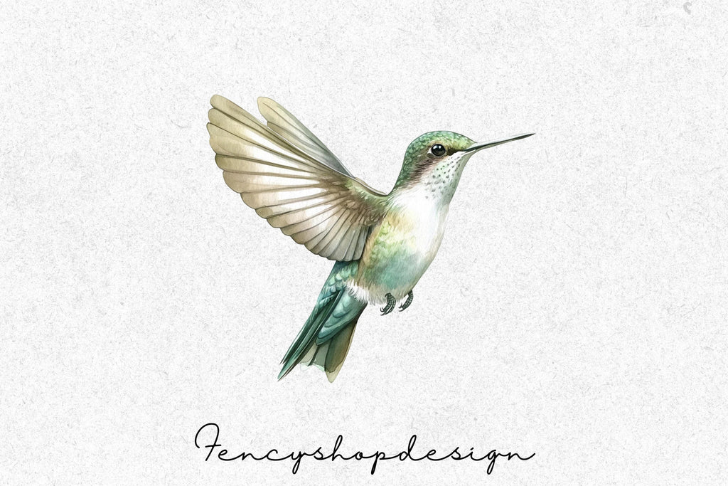 Vibrant Hummingbird Clipart Bundle