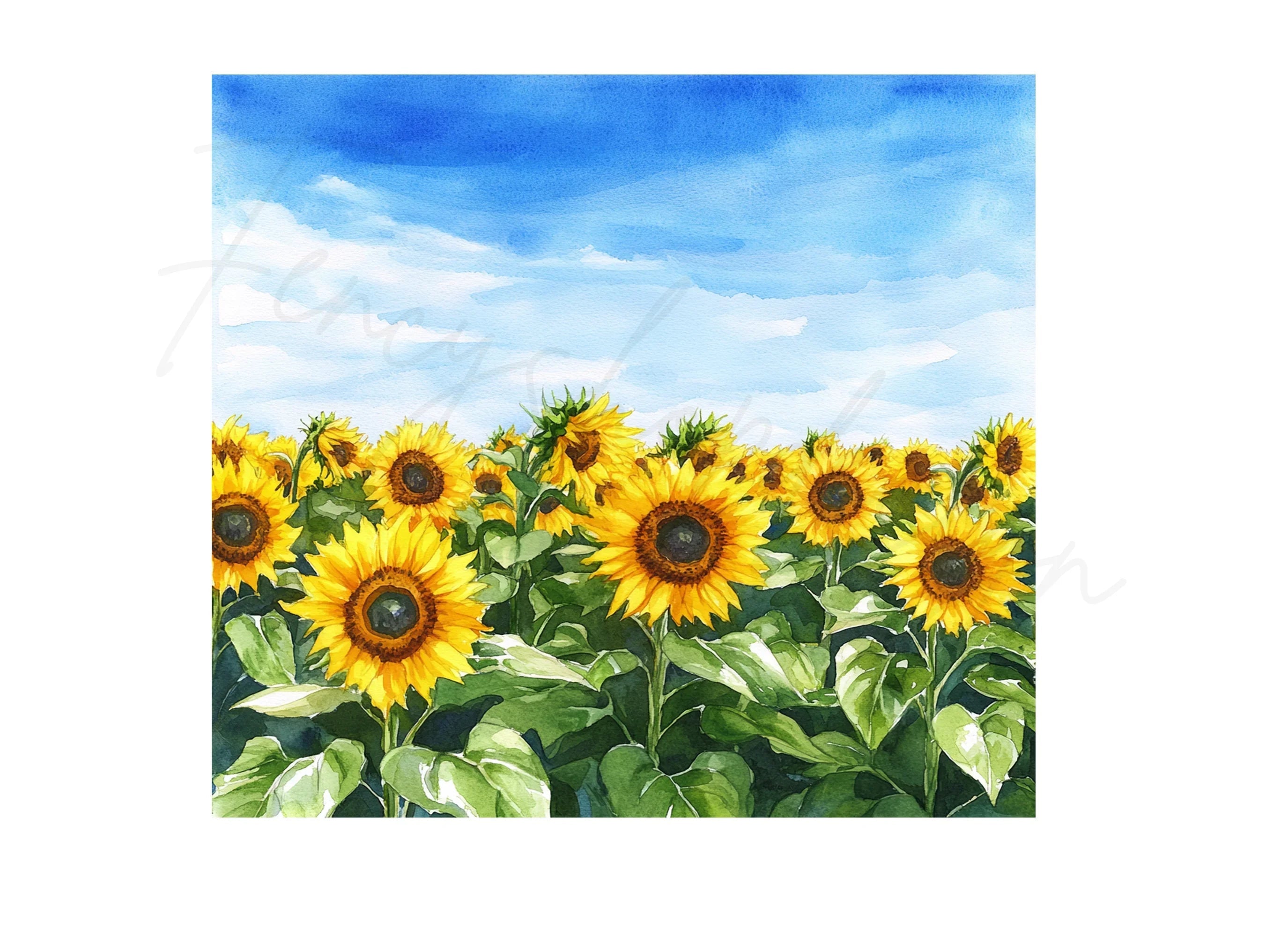 Sunflower Field Clipart Bundle