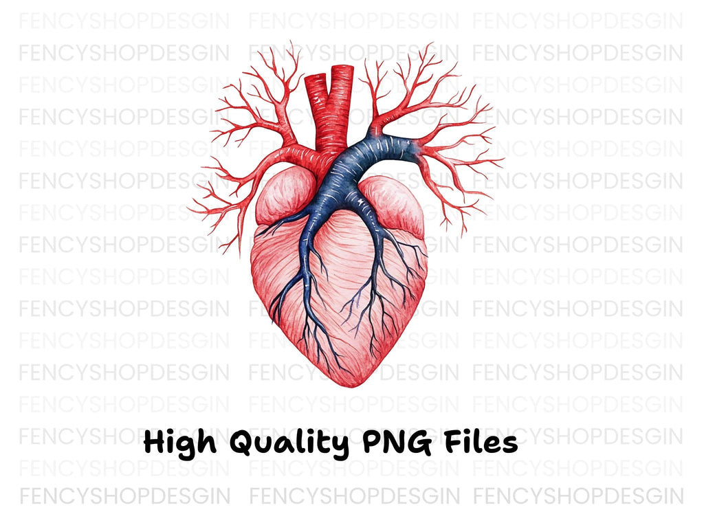 Anatomical Human Heart Clipart Bundle
