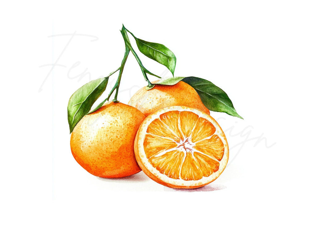 Fresh Orange Fruit Clipart Bundle