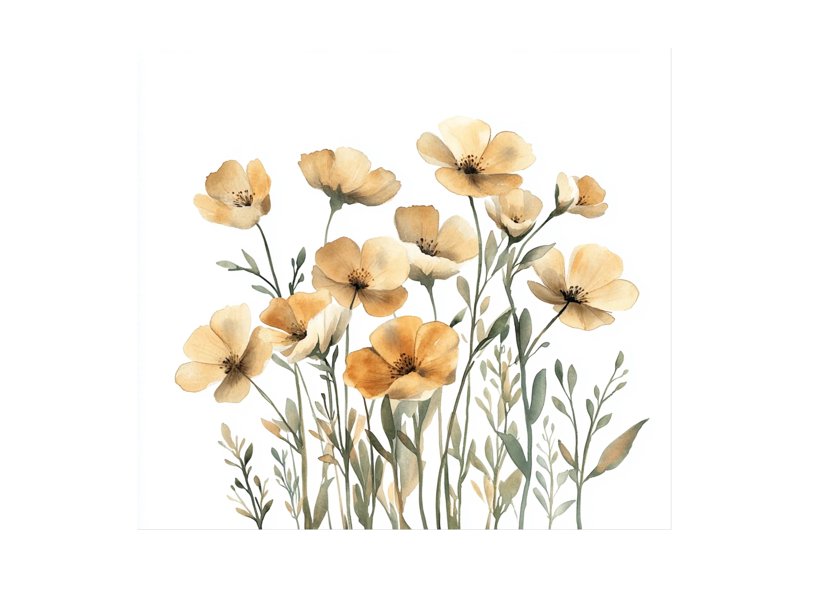 Wildflower Clipart Bundle