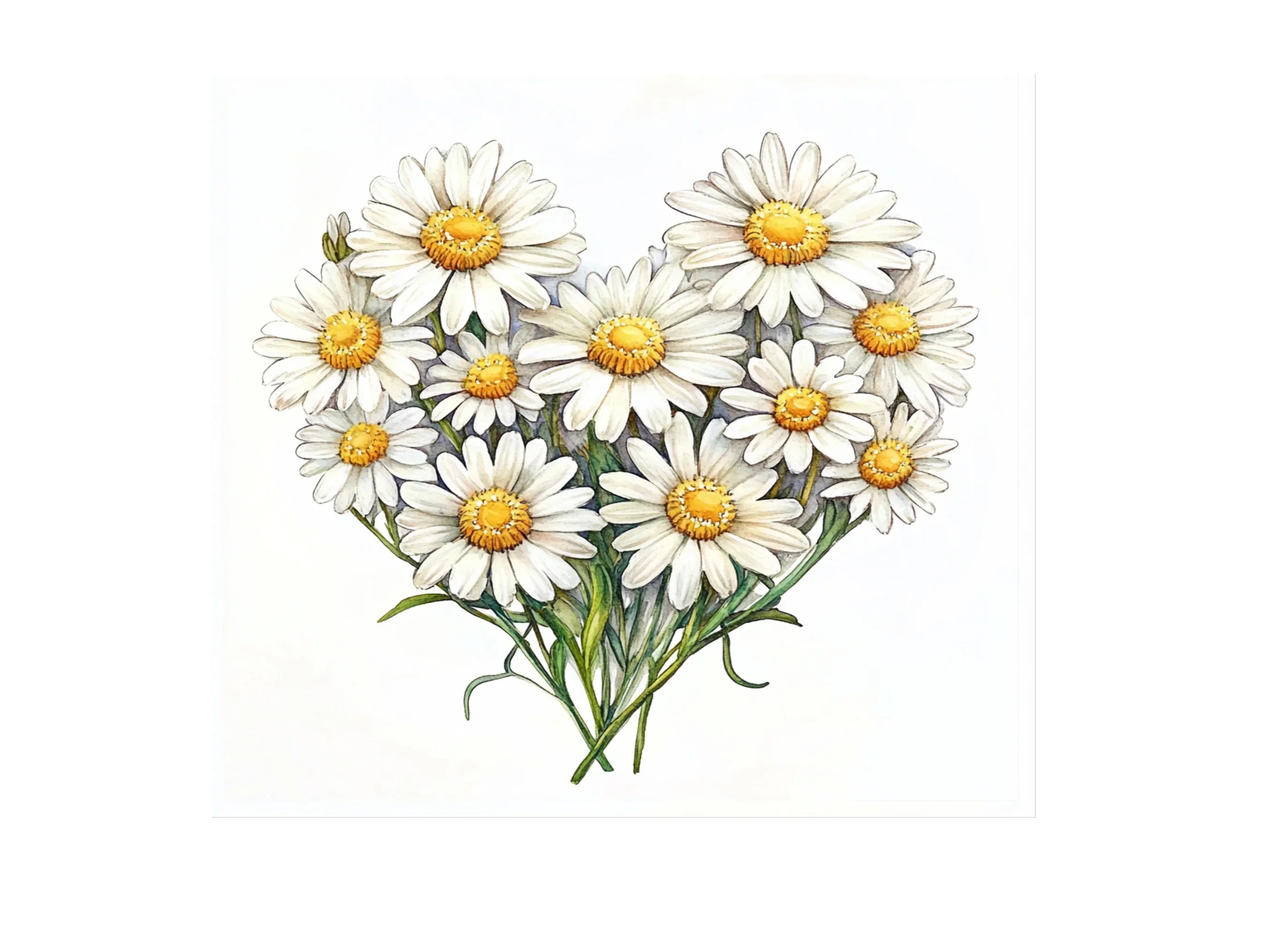 Daisy Flower Bouquets Clipart Bundle