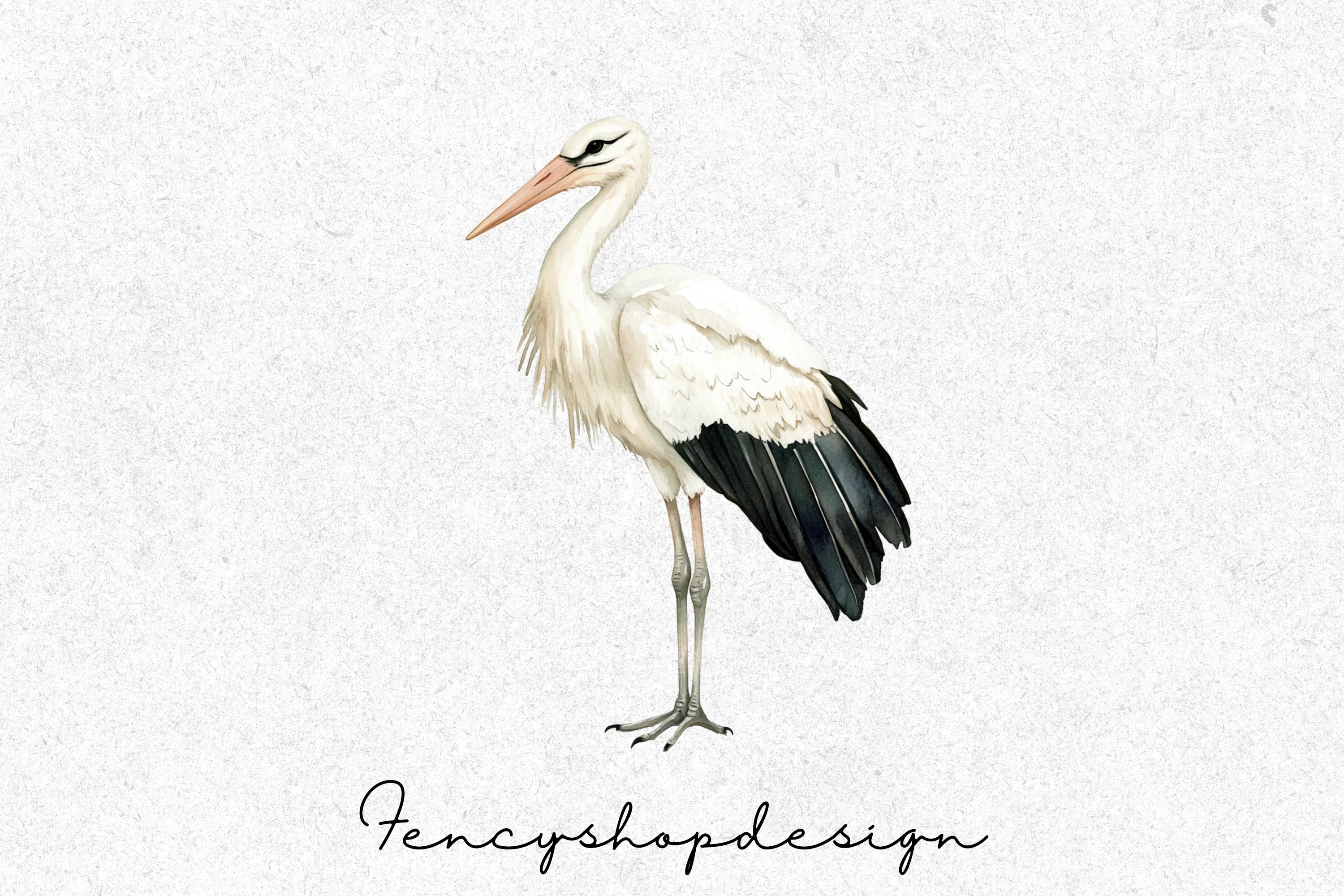 Elegant Stork Bird Clipart Bundle