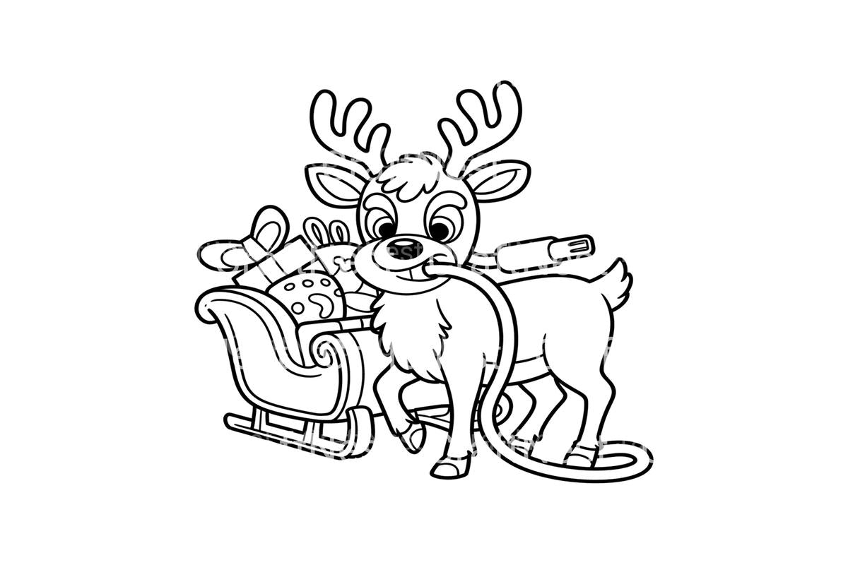 Reindeer and Sleigh Coloring Books