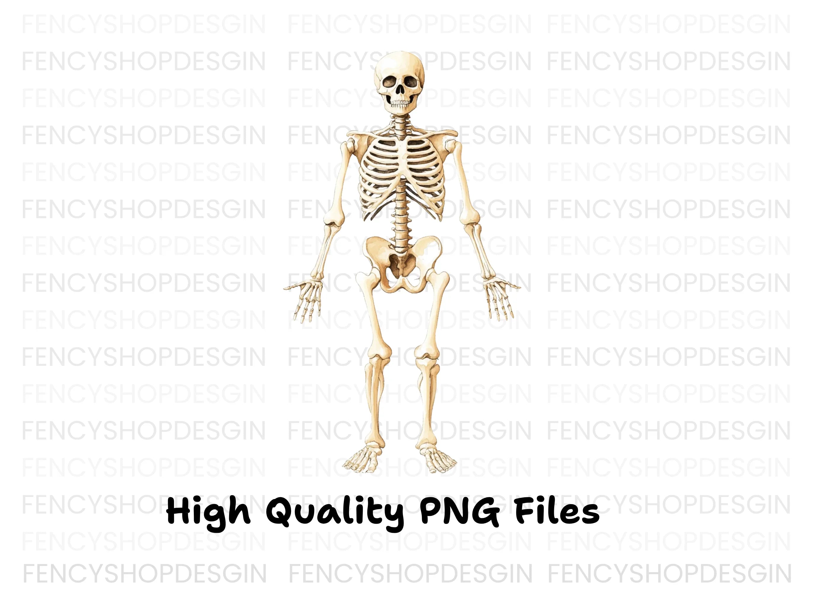 Human Skeleton Anatomy Clipart Bundle