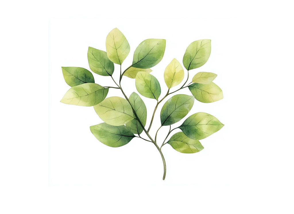 Green Leafy Branches Clipart Bundle