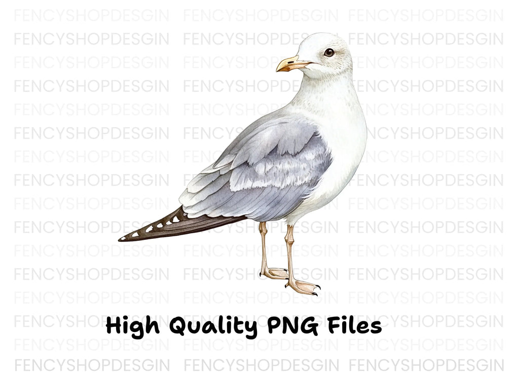 Graceful Seagull Clipart Bundle