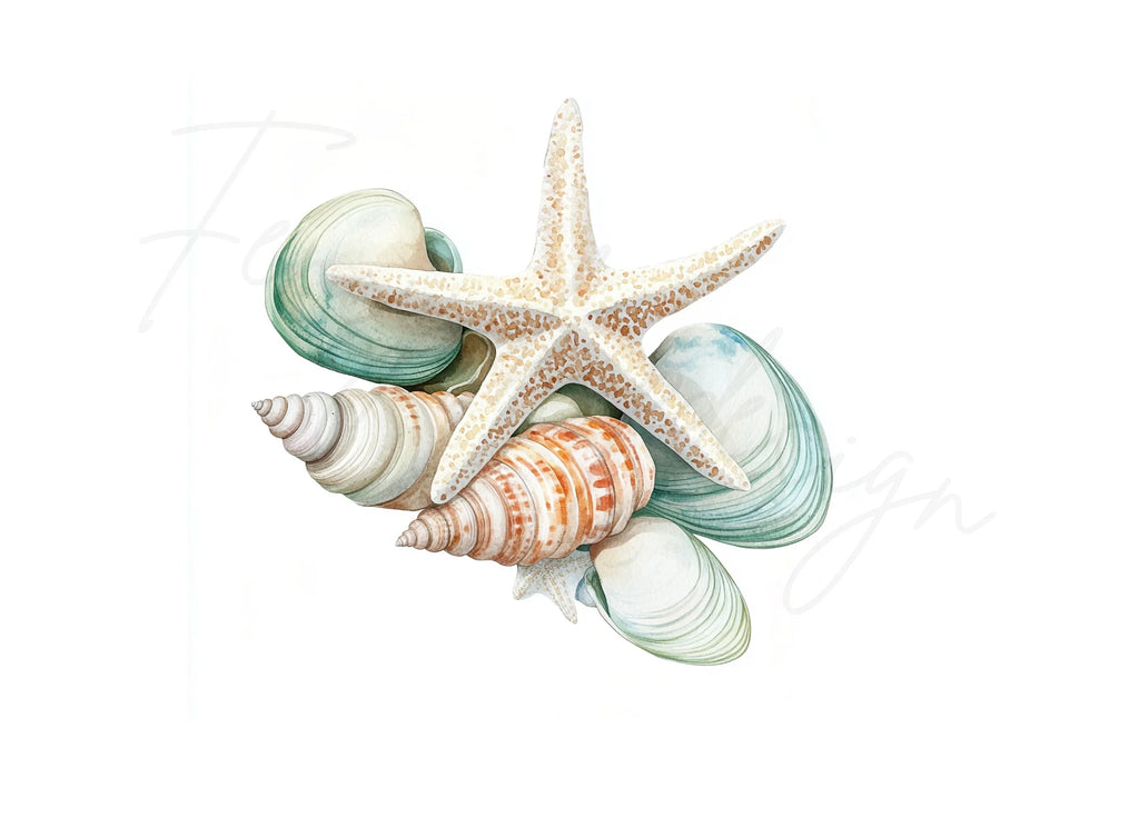 Starfish and Seashells Clipart Bundle