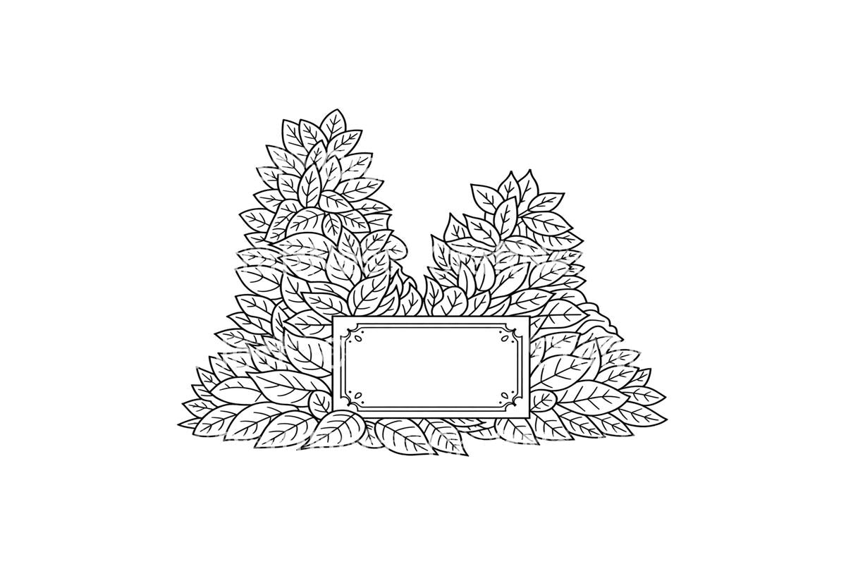 Leafy Frames Coloring Books
