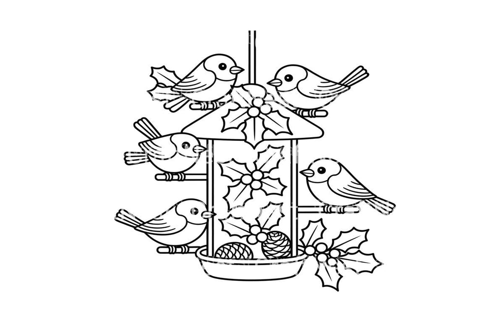 Winter Birds Feeder Coloring Books
