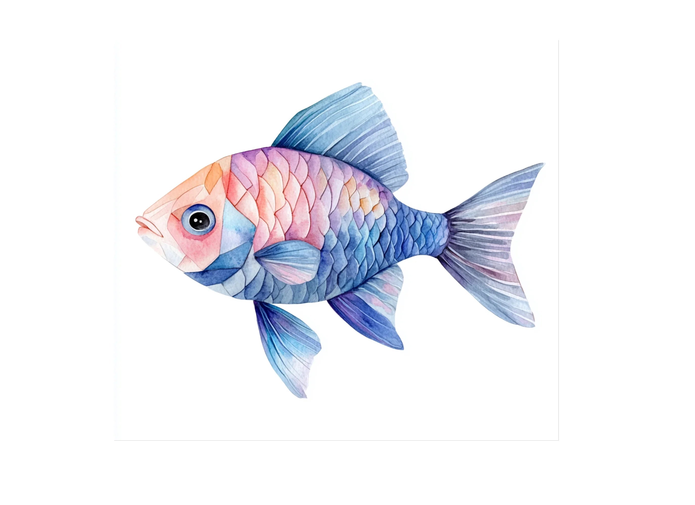 Geometric Fish Clipart Bundle