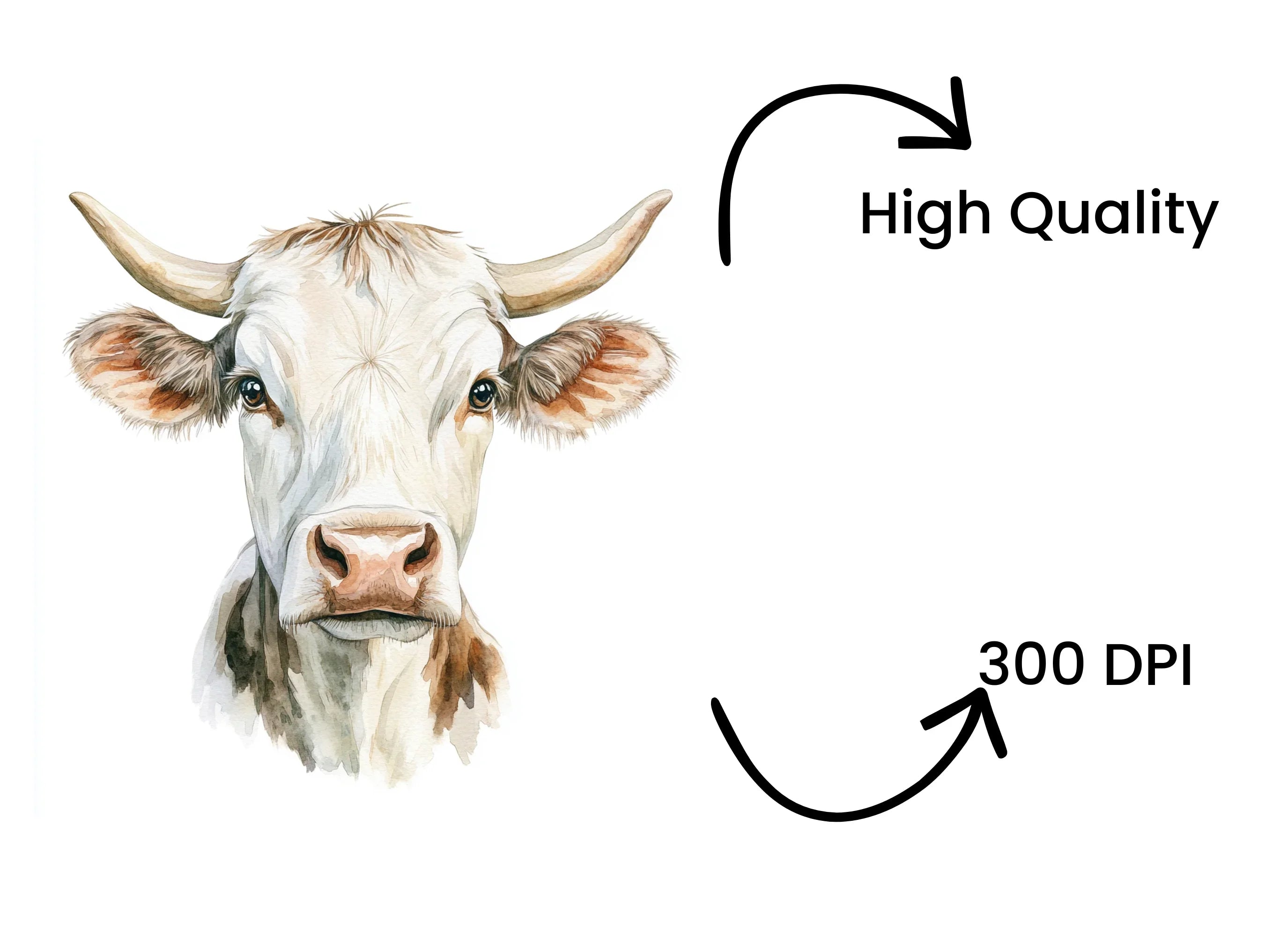 Cow Head Clipart Bundle
