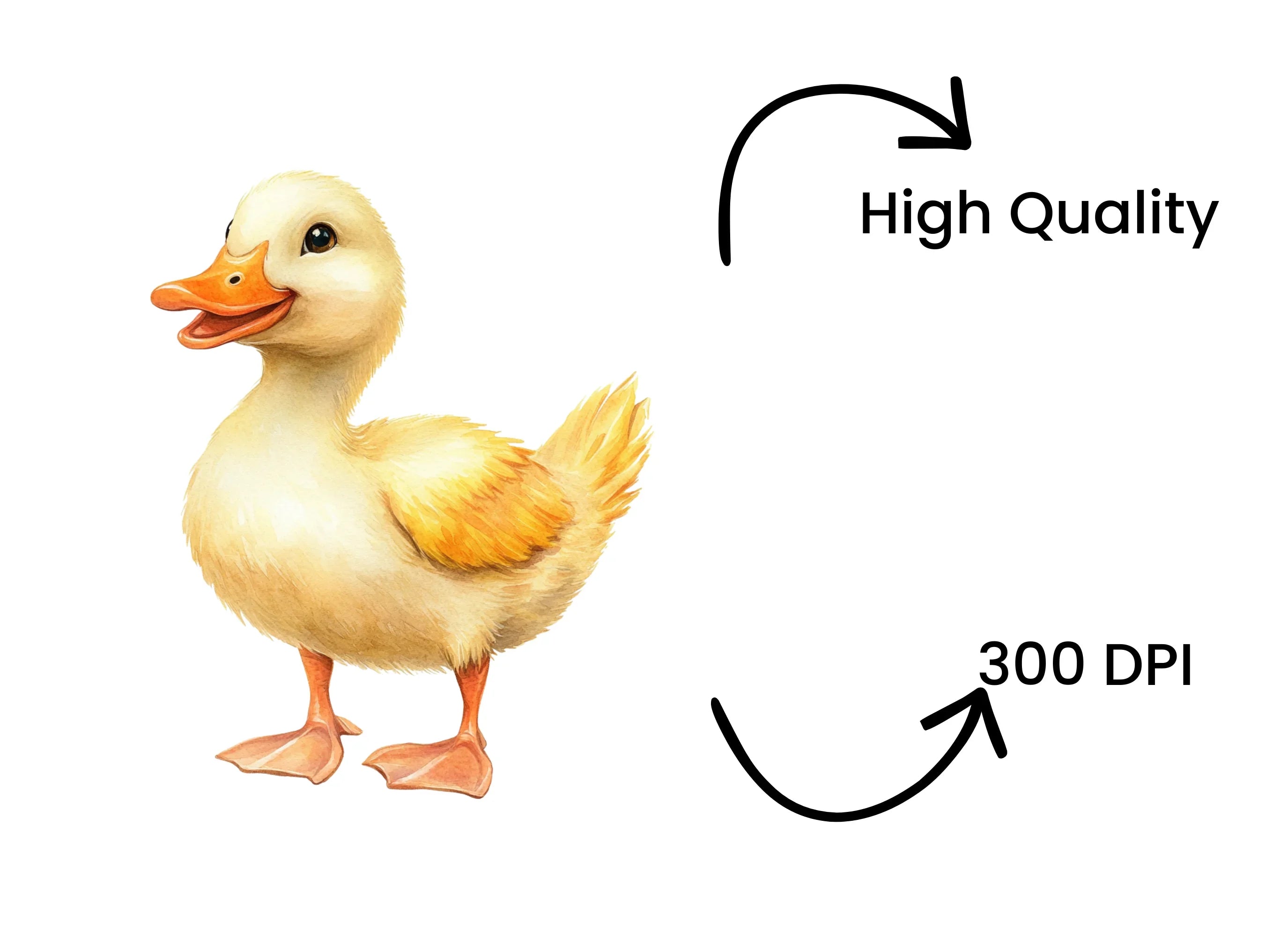 Adorable Duckling Illustration Clipart Bundle