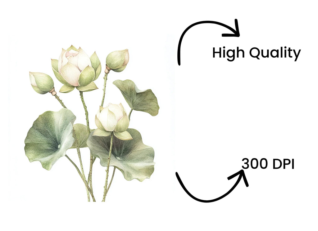 Elegant Lotus Flower Clipart Bundle