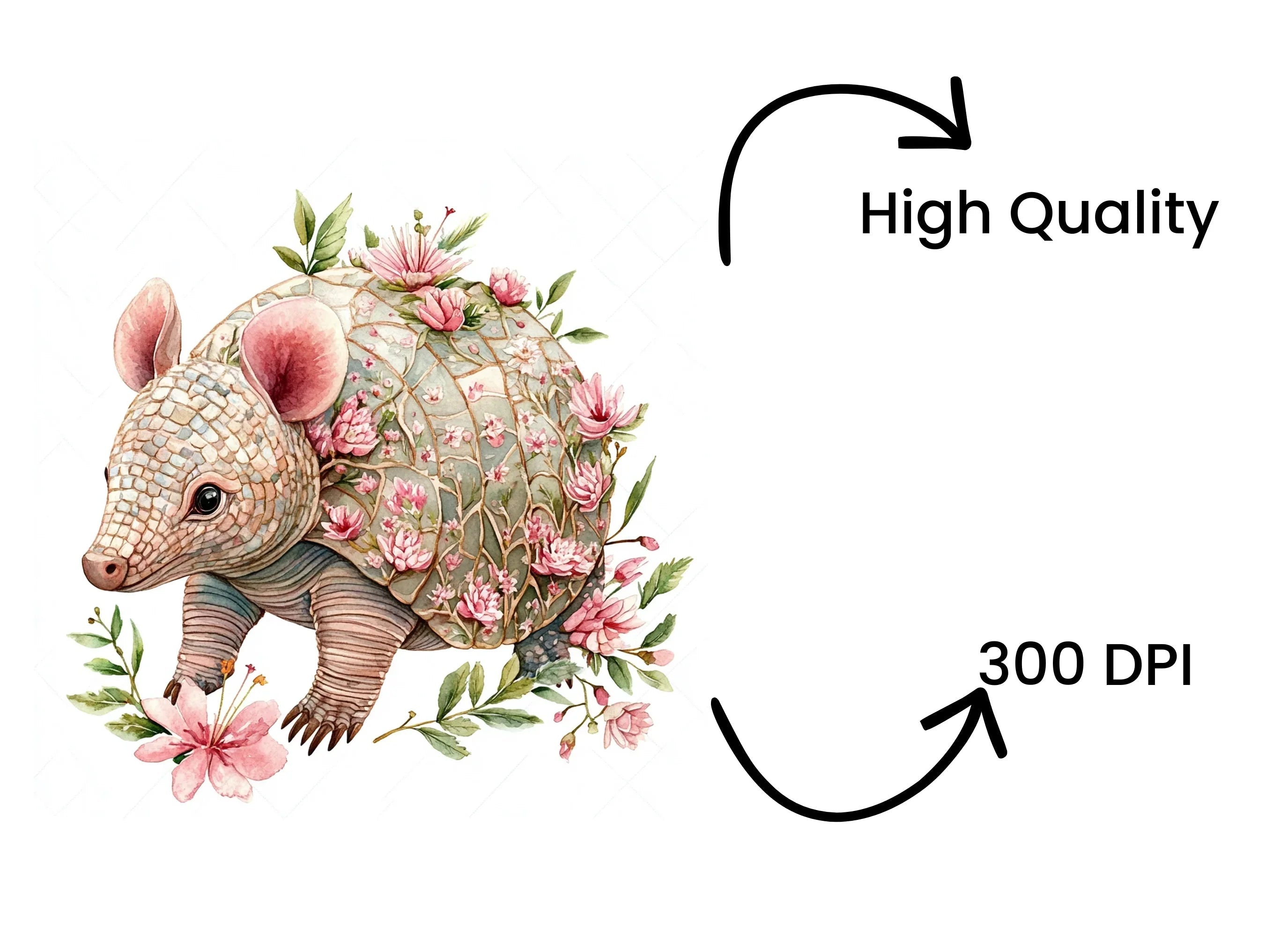 Cute Armadillo Floral Clipart Bundle