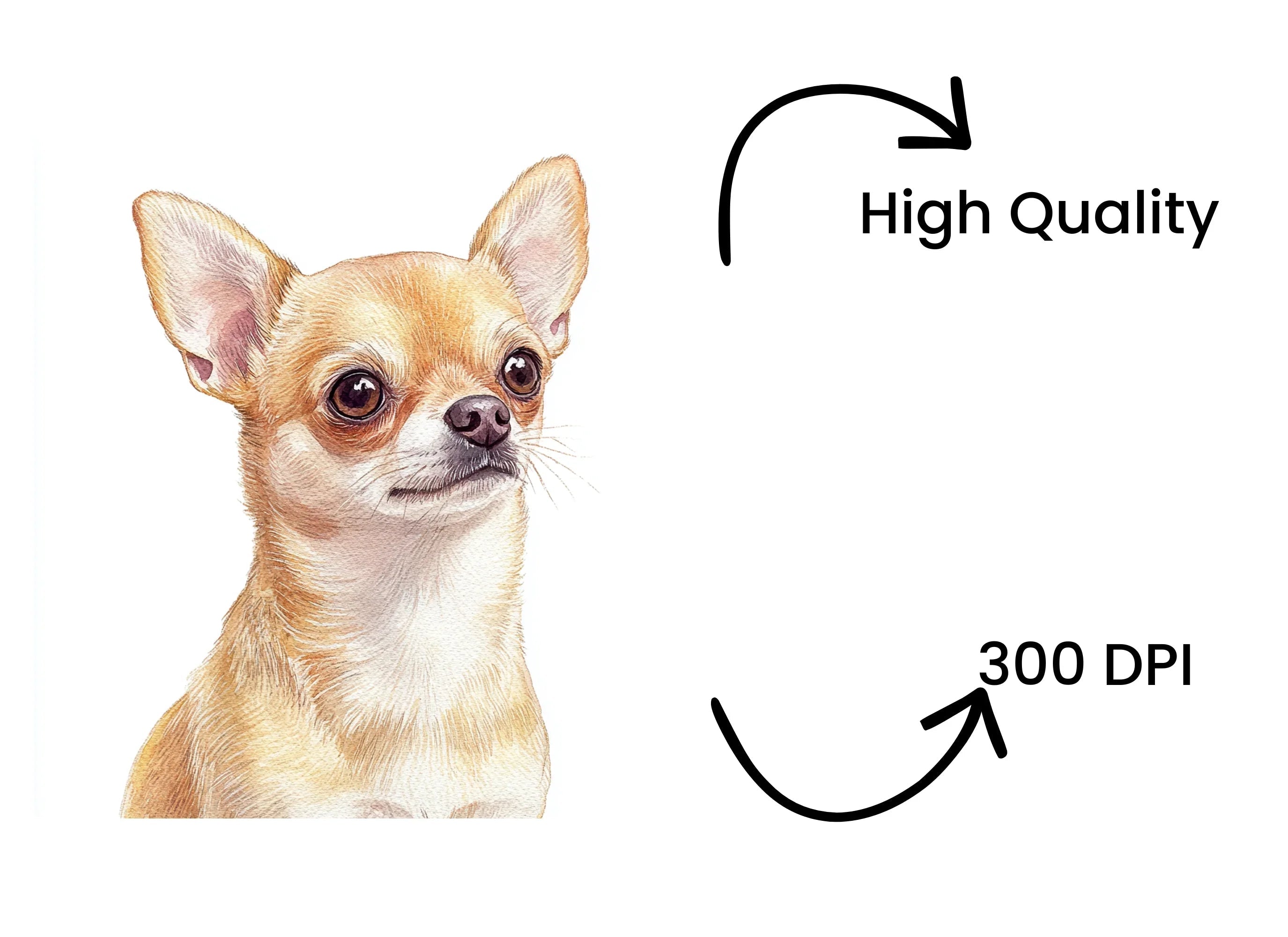 Chihuahua Dog Clipart Bundle