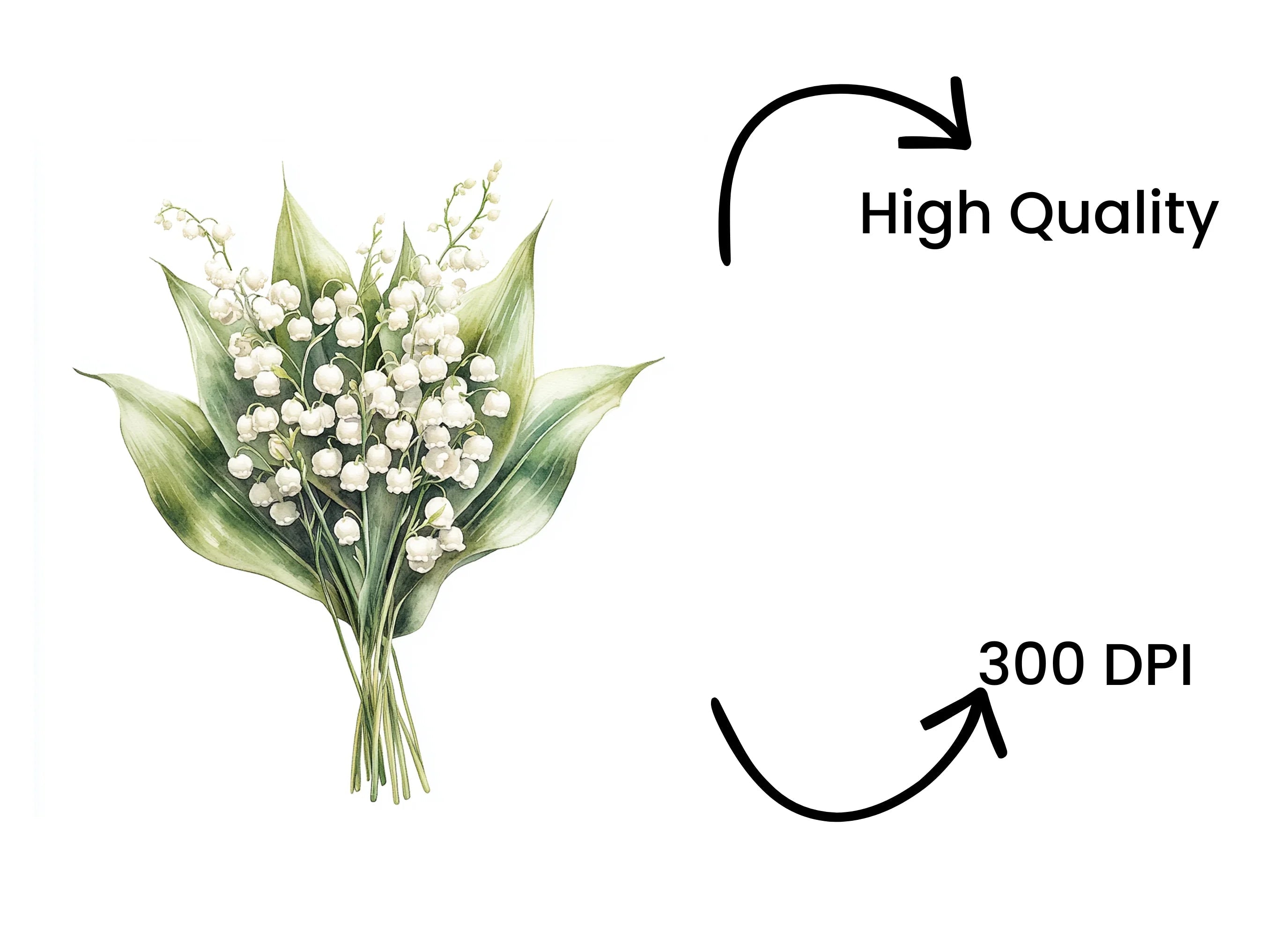 Lily of the Valley Clipart Bundle