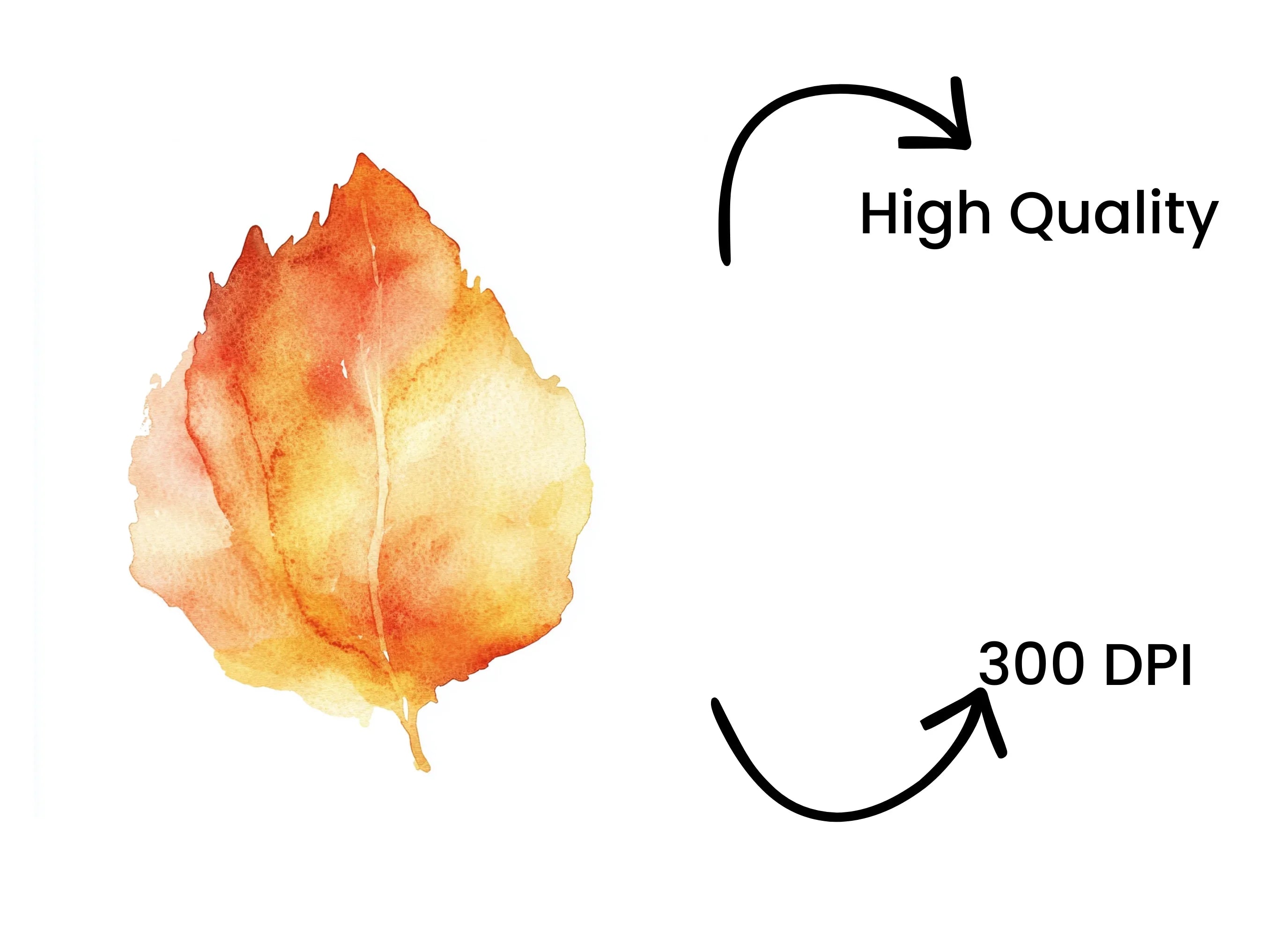 Autumn Leaf Clipart Bundle