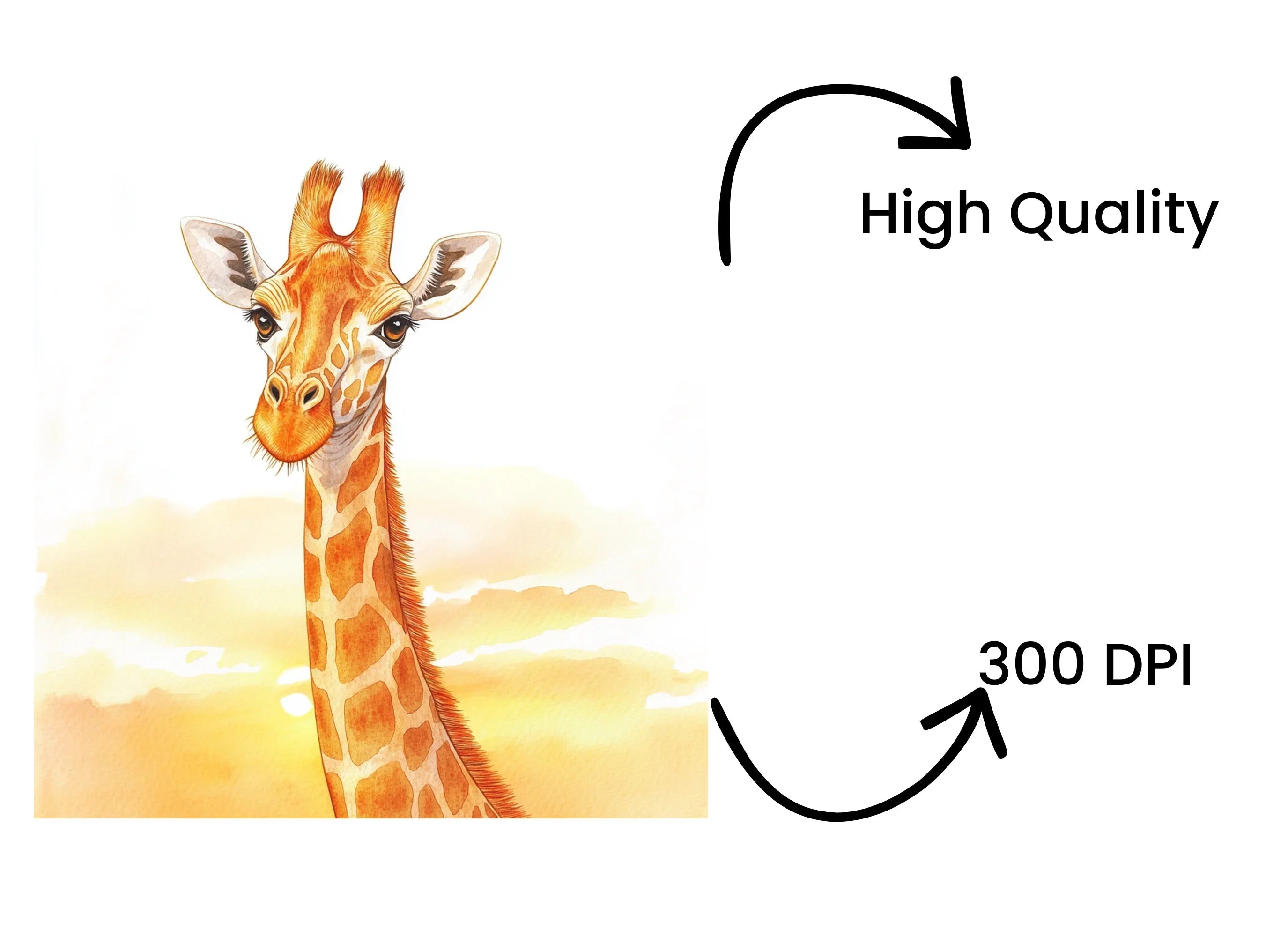 Giraffe Head Clipart Bundle