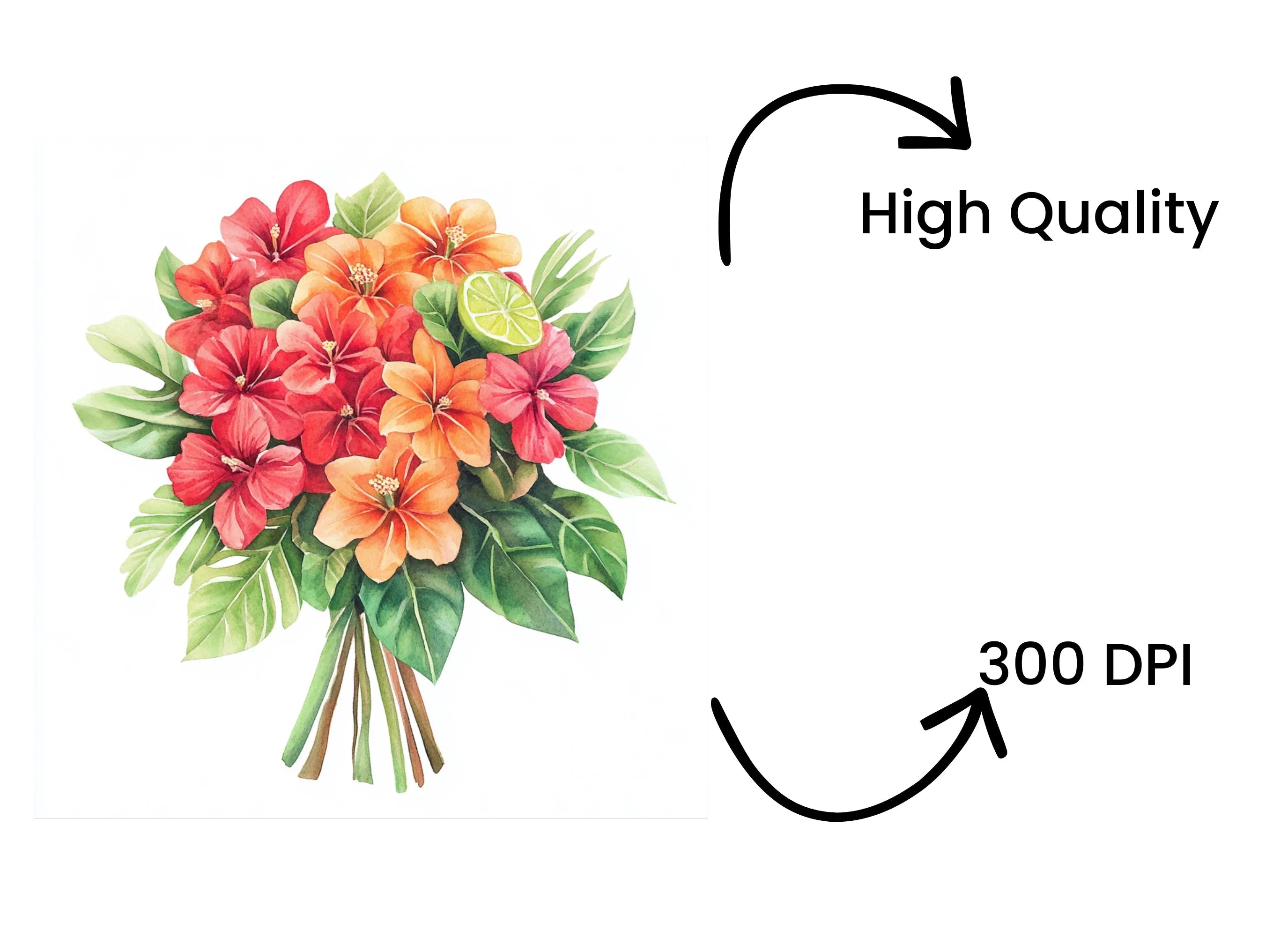 Tropical Hibiscus Flower Bouquets Clipart Bundle