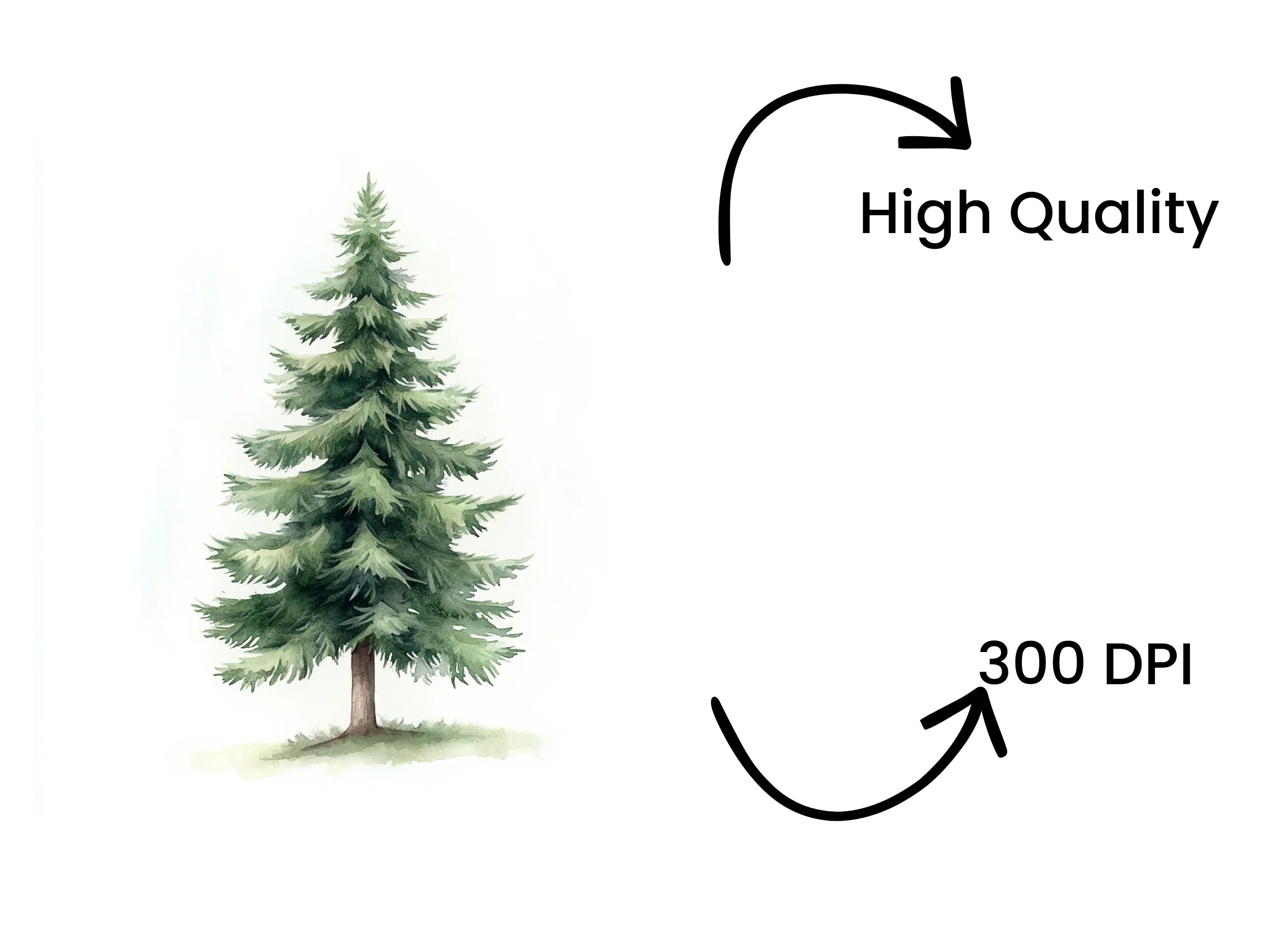 Pine Tree Clipart Bundle