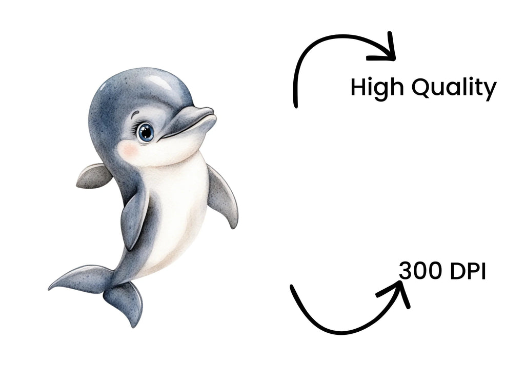 Playful Dolphin Clipart Bundle