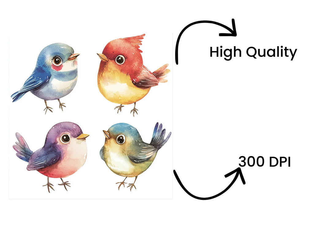 Assorted Bird Illustrations Clipart Bundle