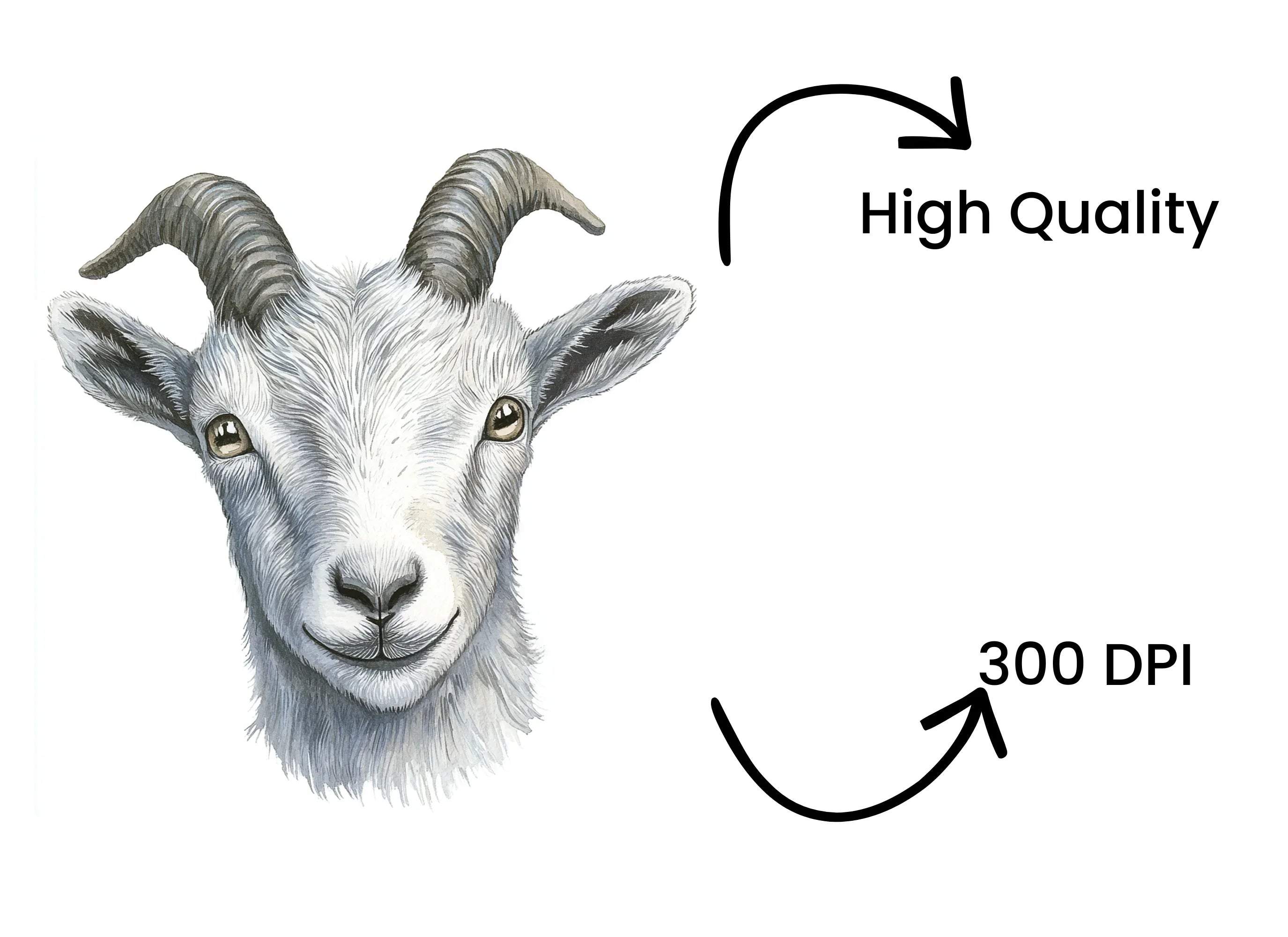 Cute Goat Faces Clipart Bundle