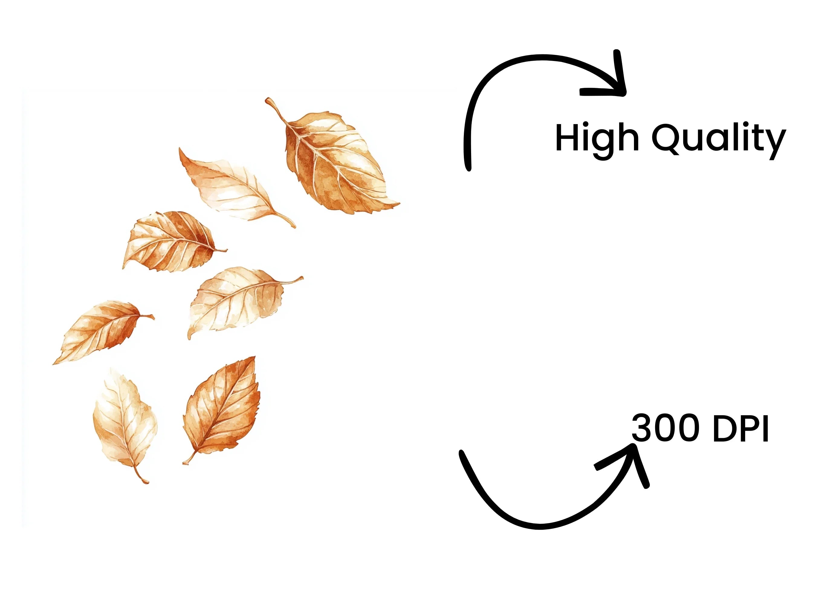 Falling Autumn Leaves Clipart Bundle