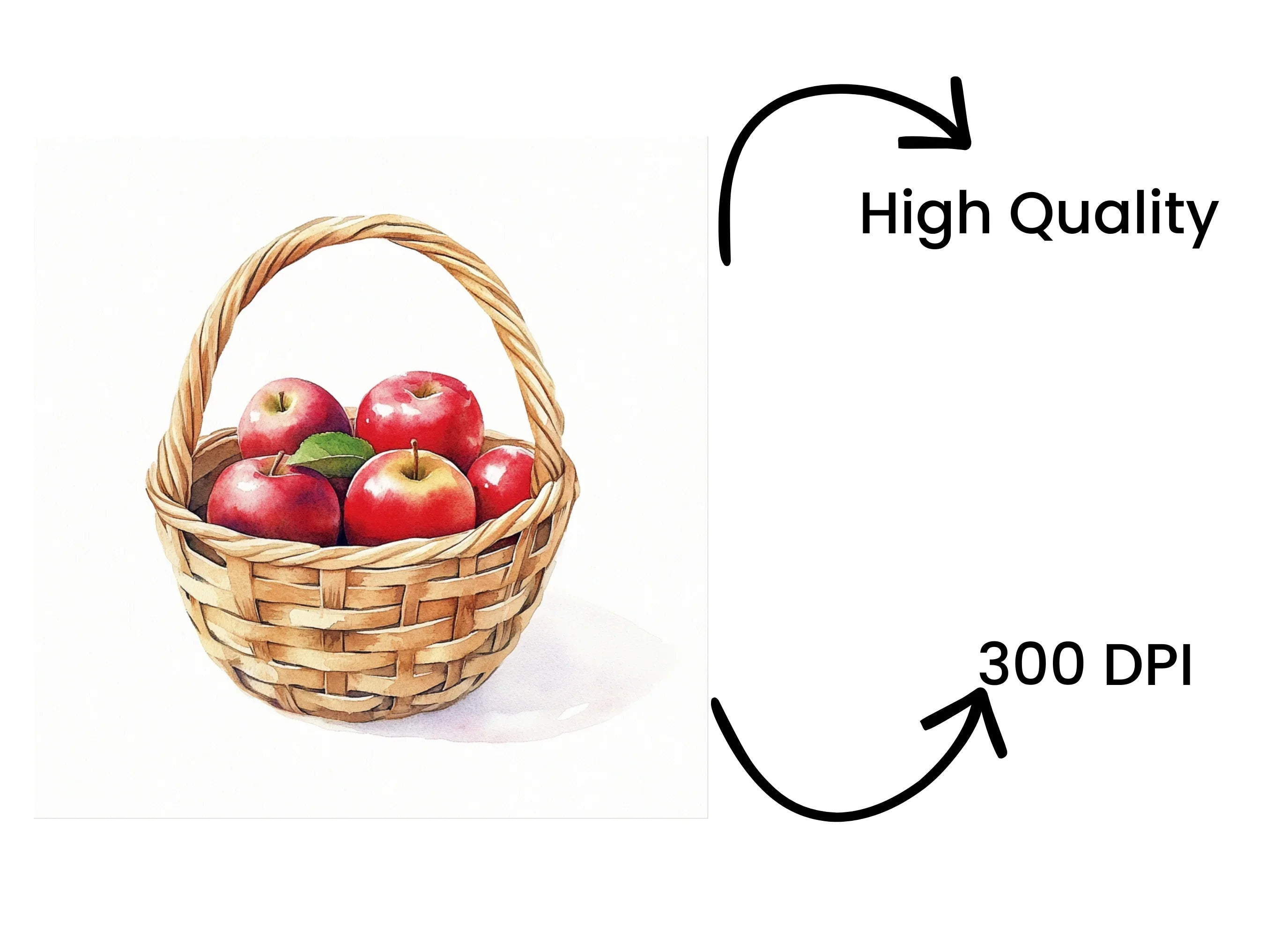 Hand Drawn Apple Basket Illustrations Clipart Bundle