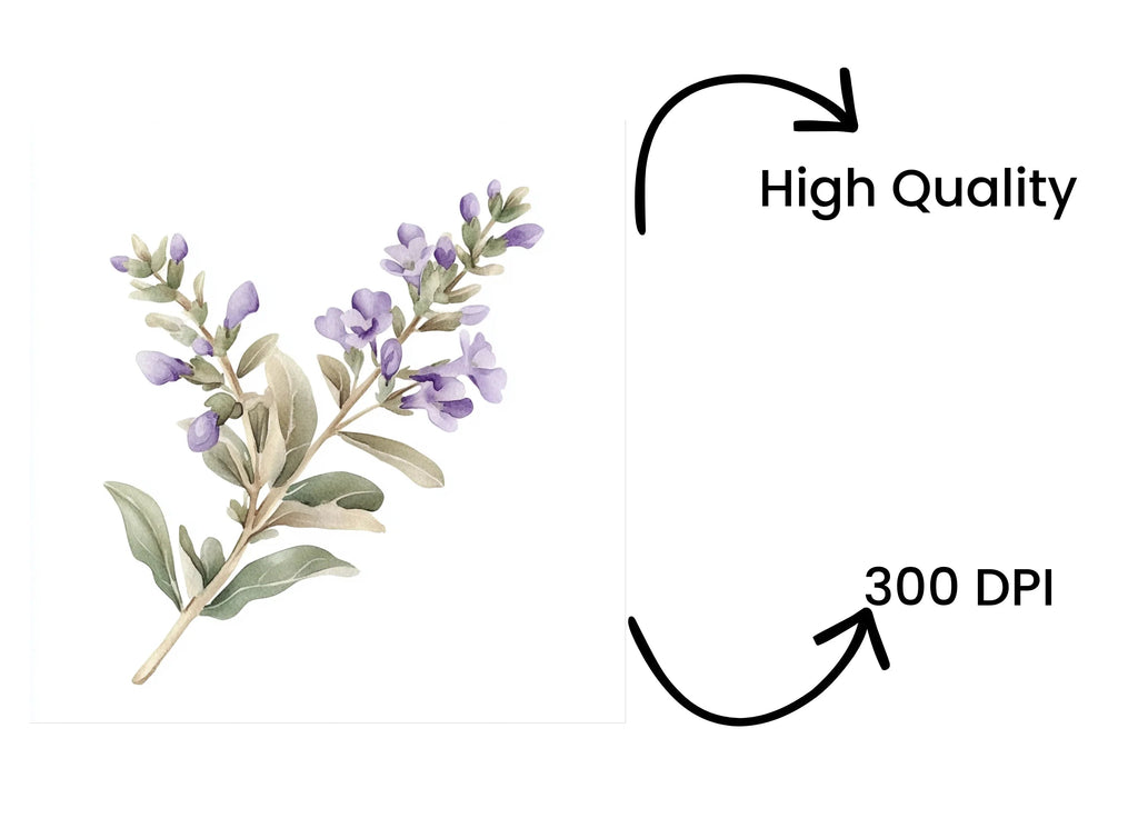Delicate Lavender Sprig Clipart Bundle