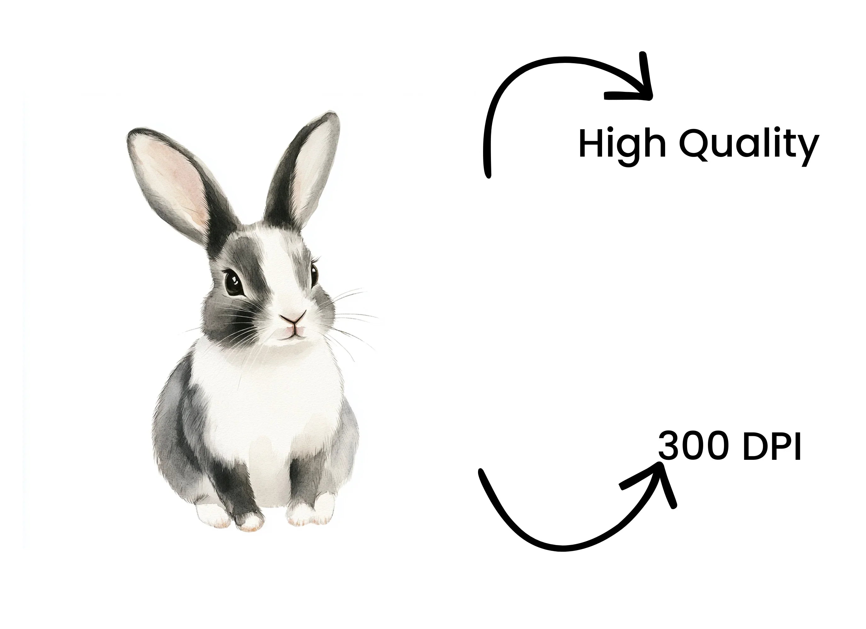 Cute Bunny Clipart Bundle