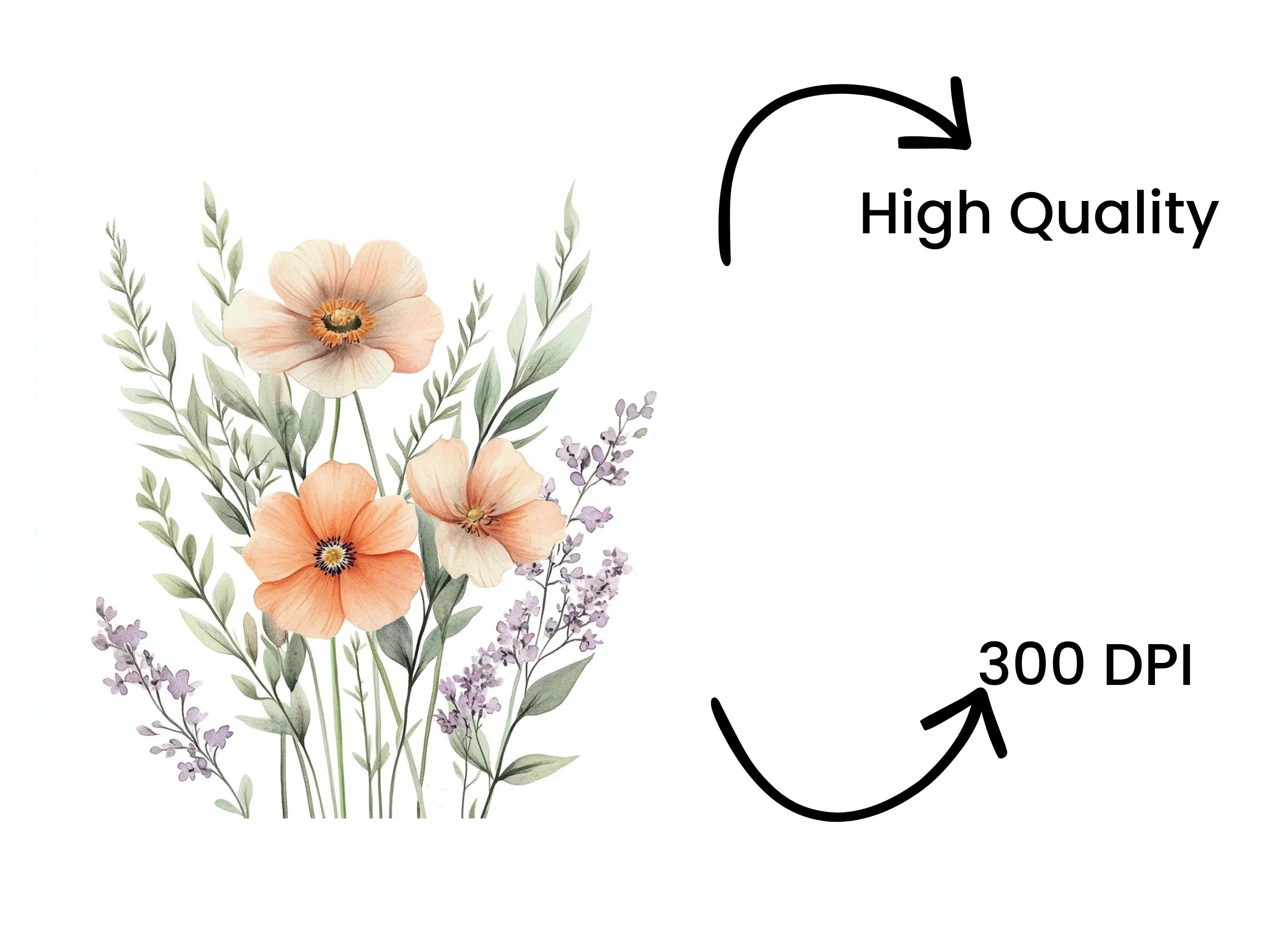 Wildflower Clipart Bundle