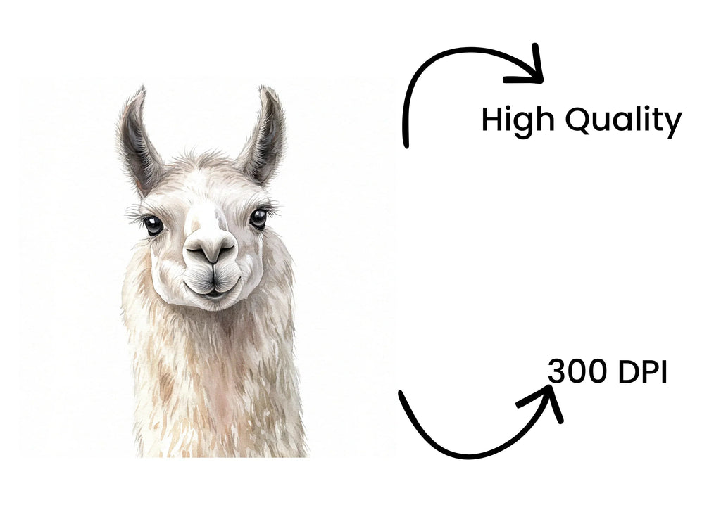 Llama Head Clipart Bundle