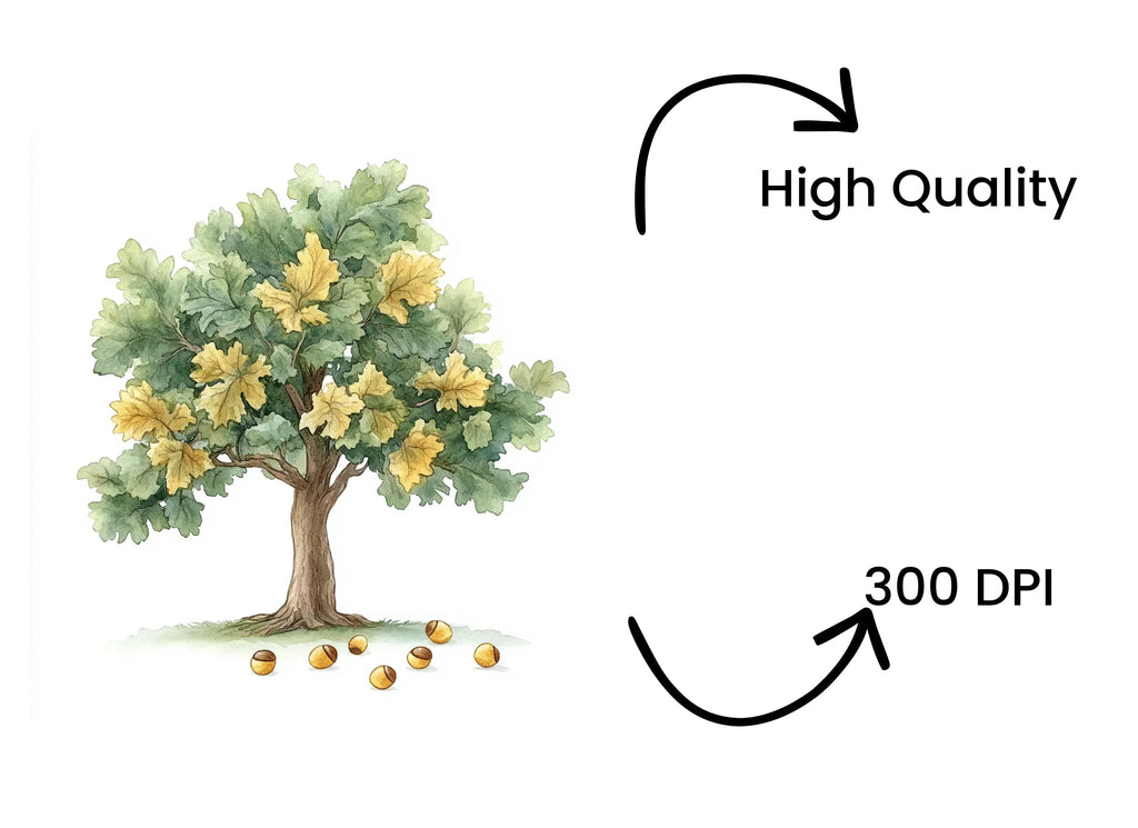 Oak Tree Clipart Bundle