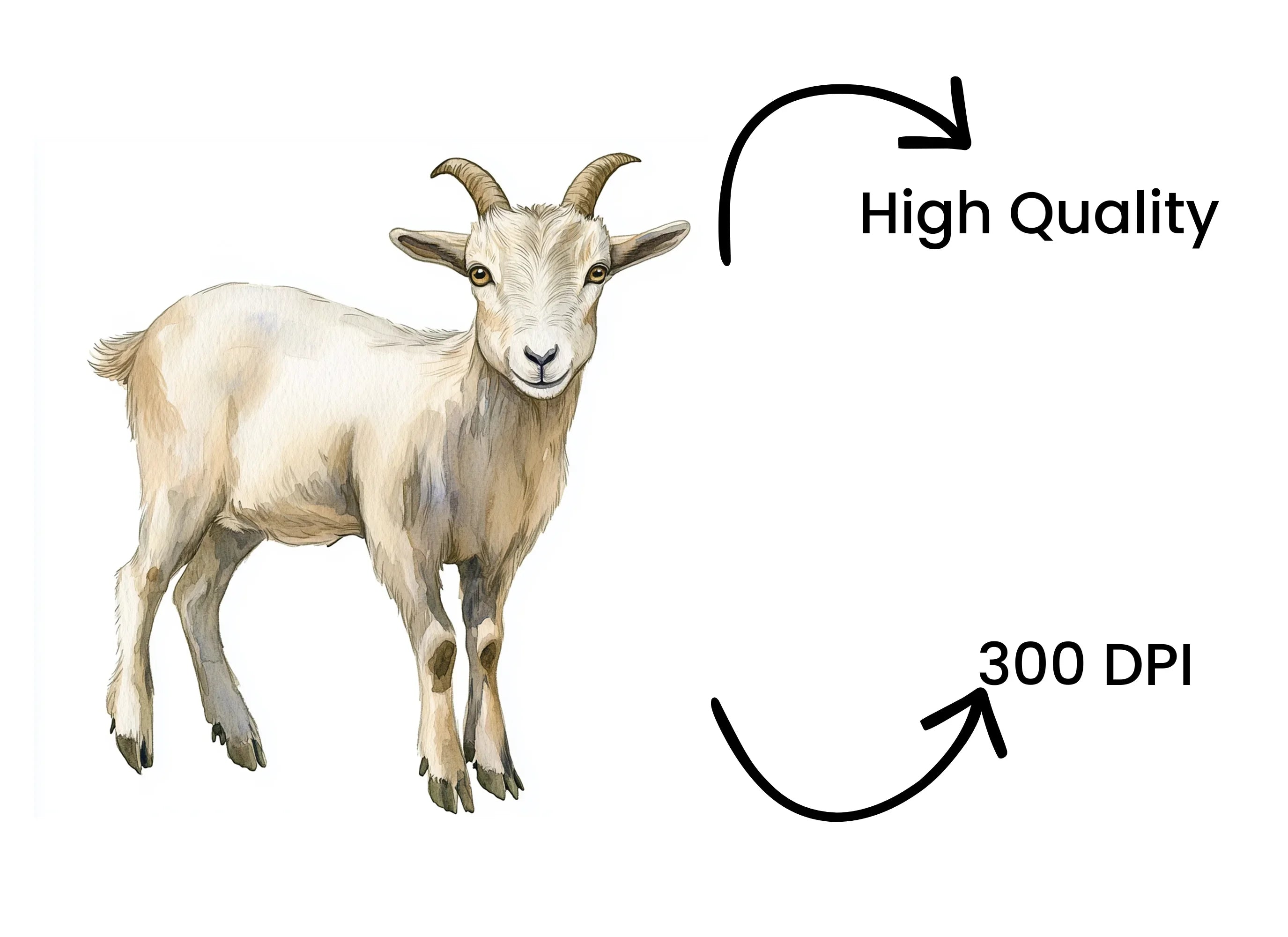Cute Baby Goat Clipart Bundle