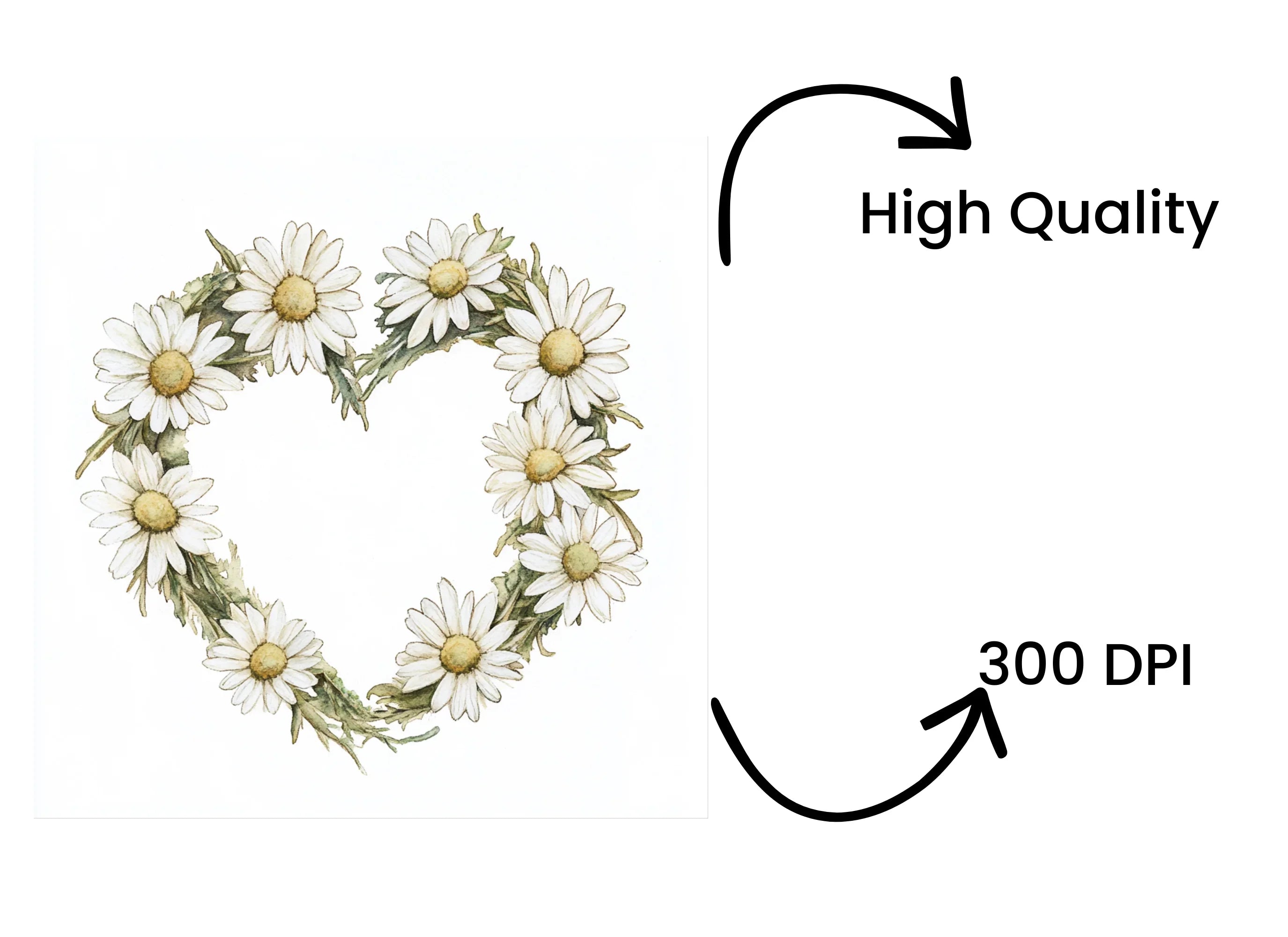 Charming Daisy Wreaths Clipart Bundle