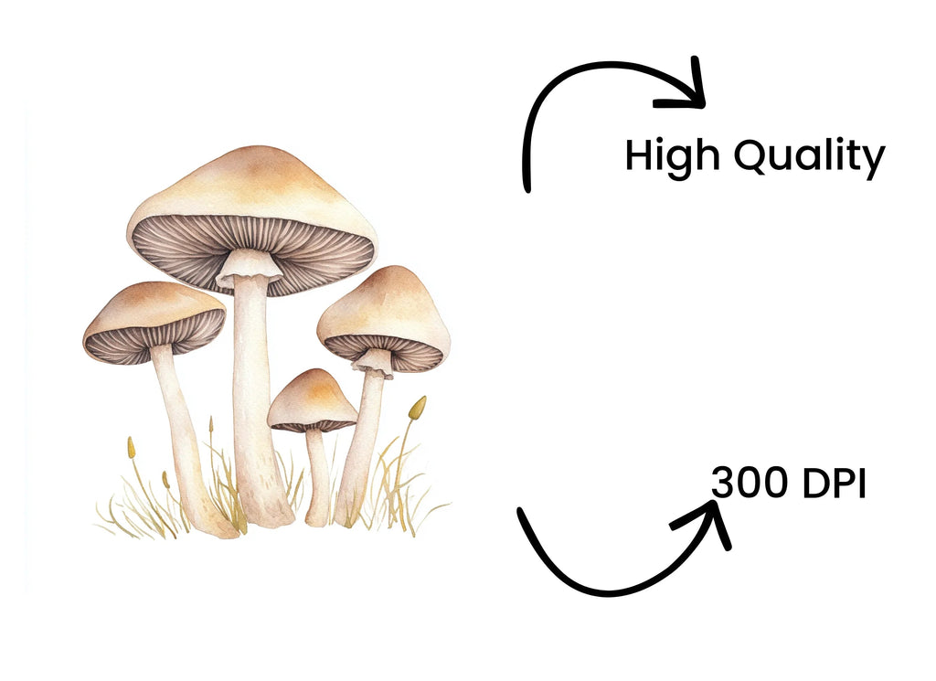 Forest Fungi Clipart Bundle