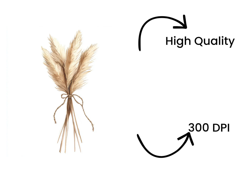 Pampas Grass Bouquets Clipart Bundle