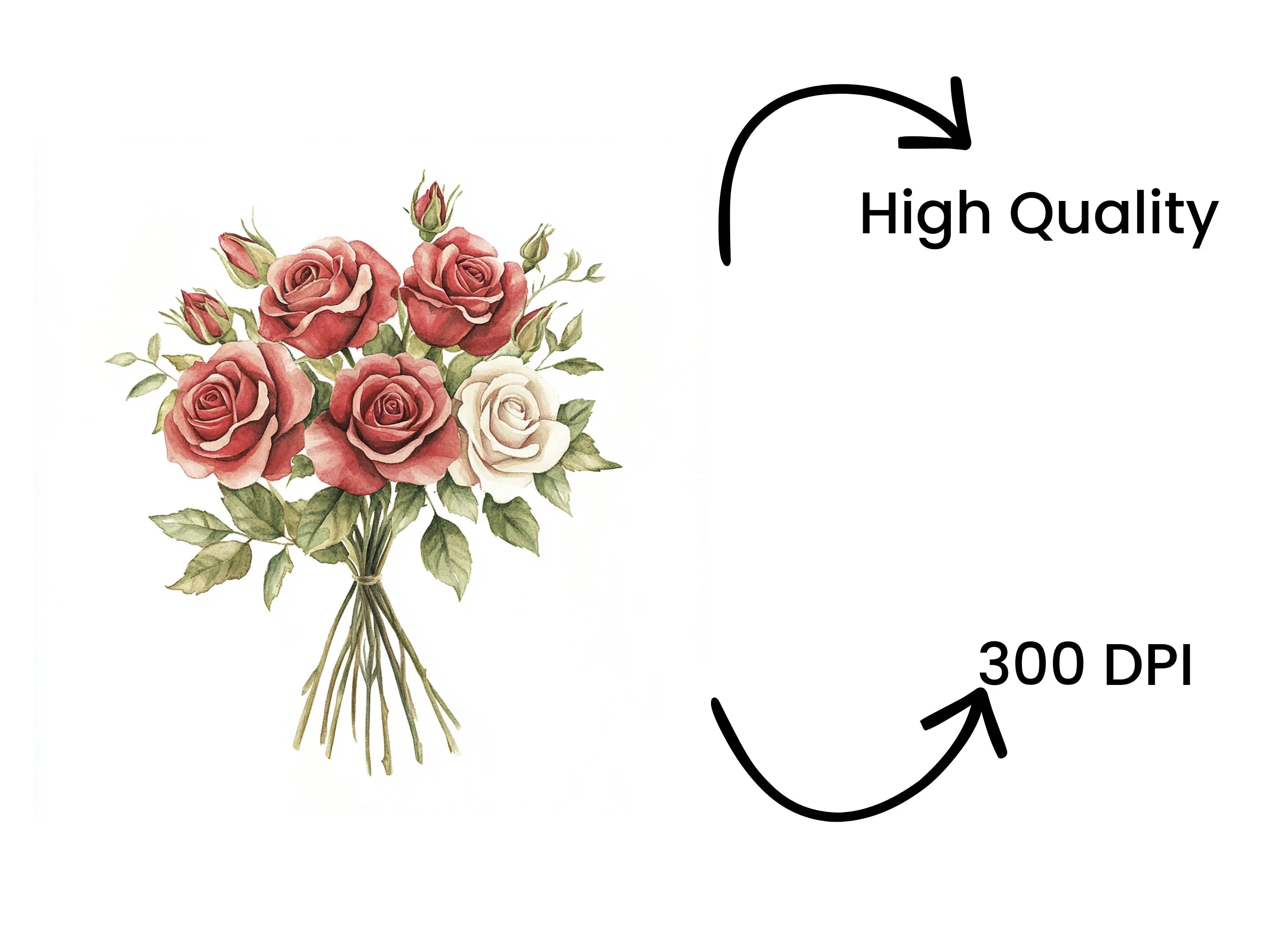 Elegant Red and White Rose Bouquets Clipart Bundle