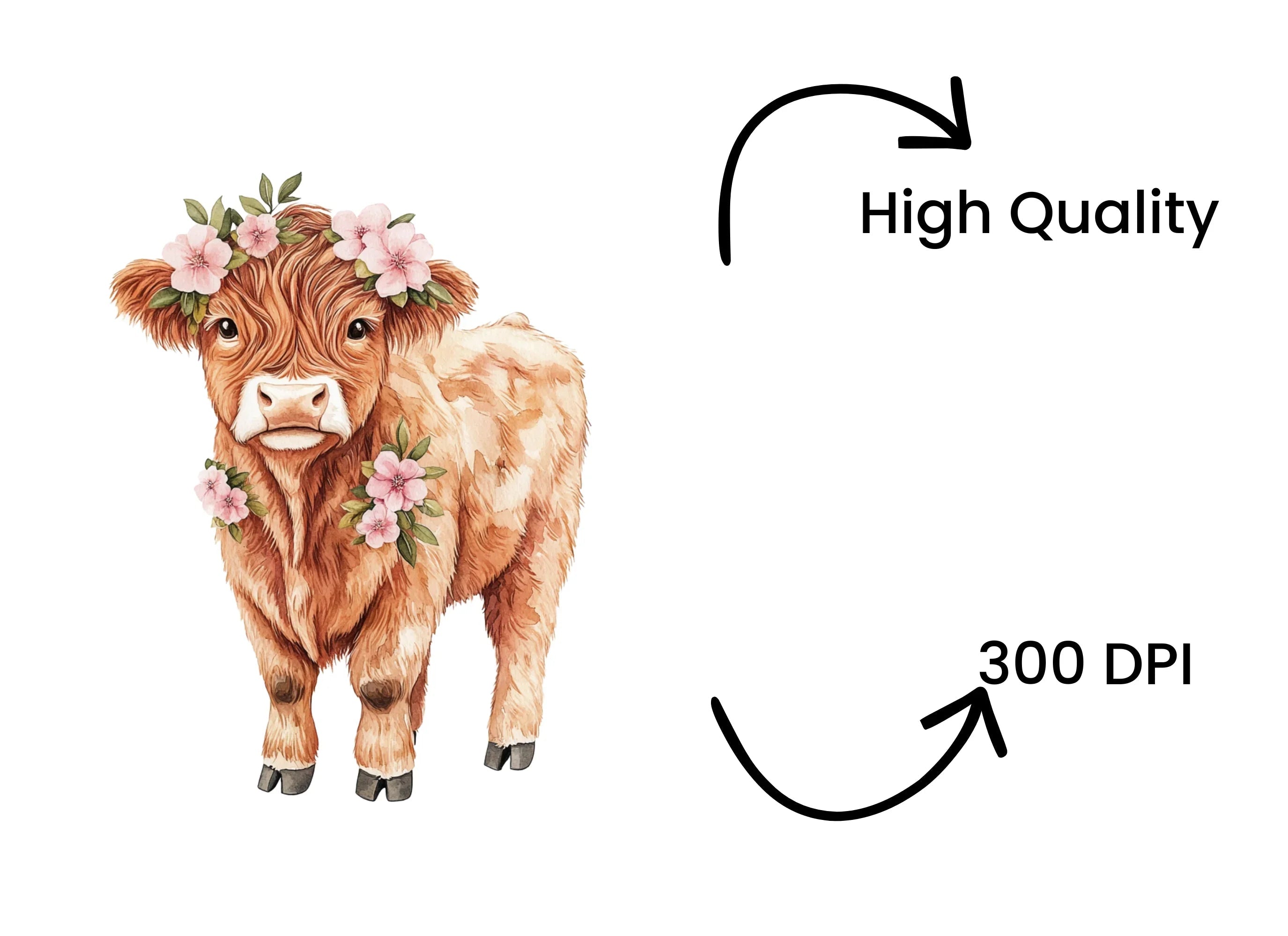Highland Cow Floral Clipart Bundle