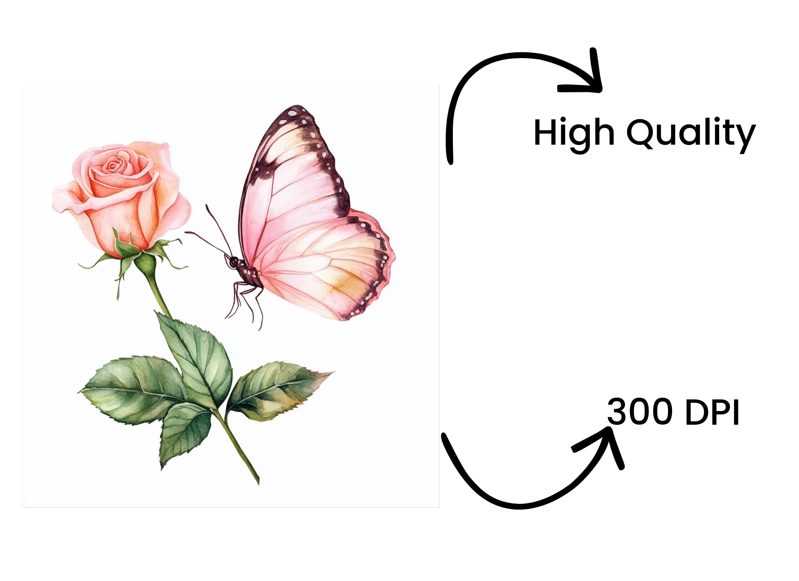 Butterfly Rose Clipart Bundle