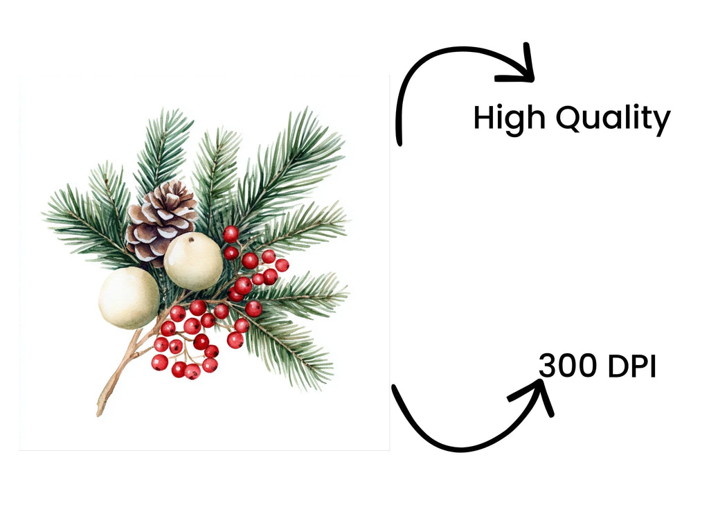 Winter Pine and Berry Clipart Bundle