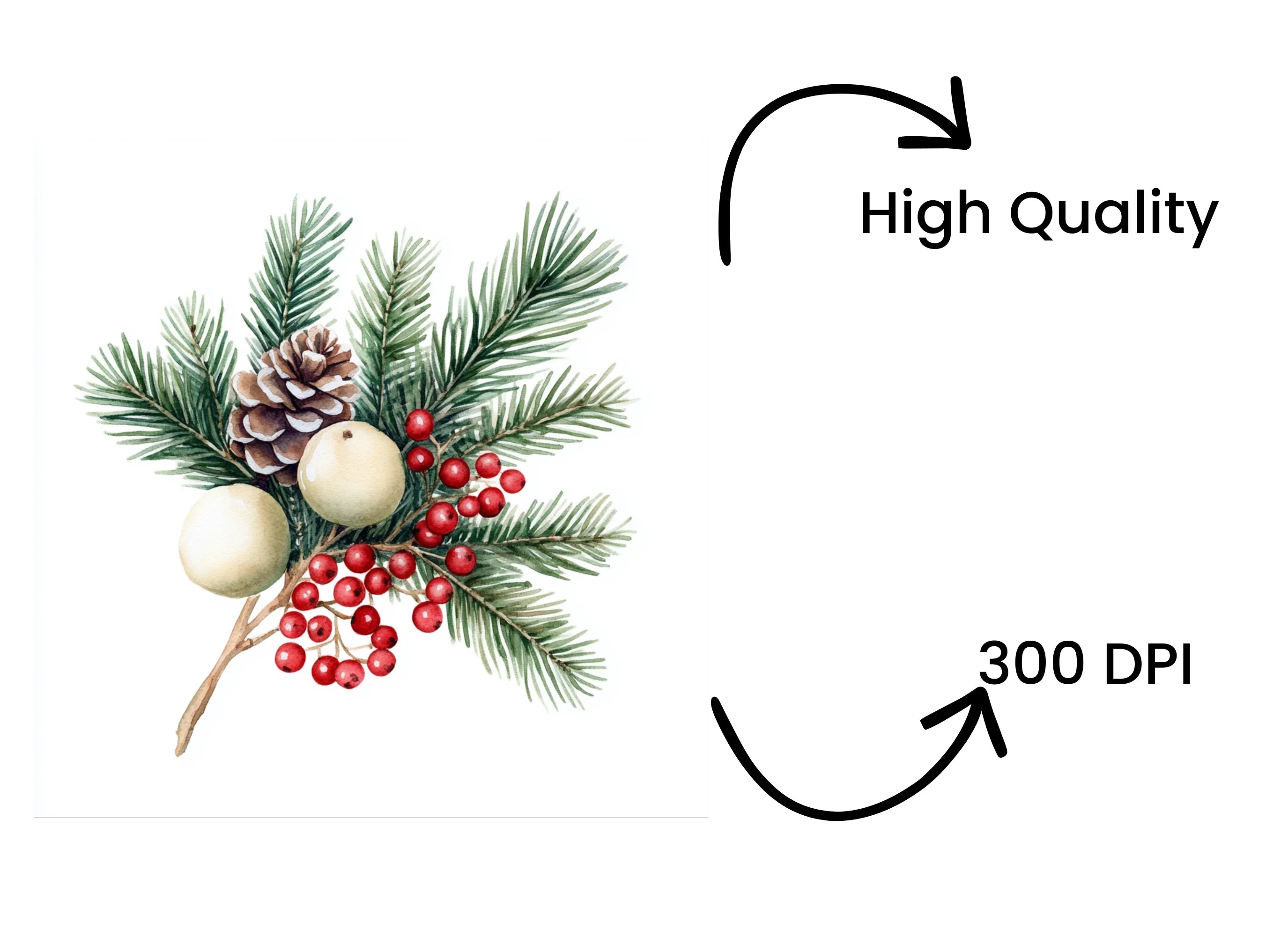 Winter Pine and Berry Clipart Bundle