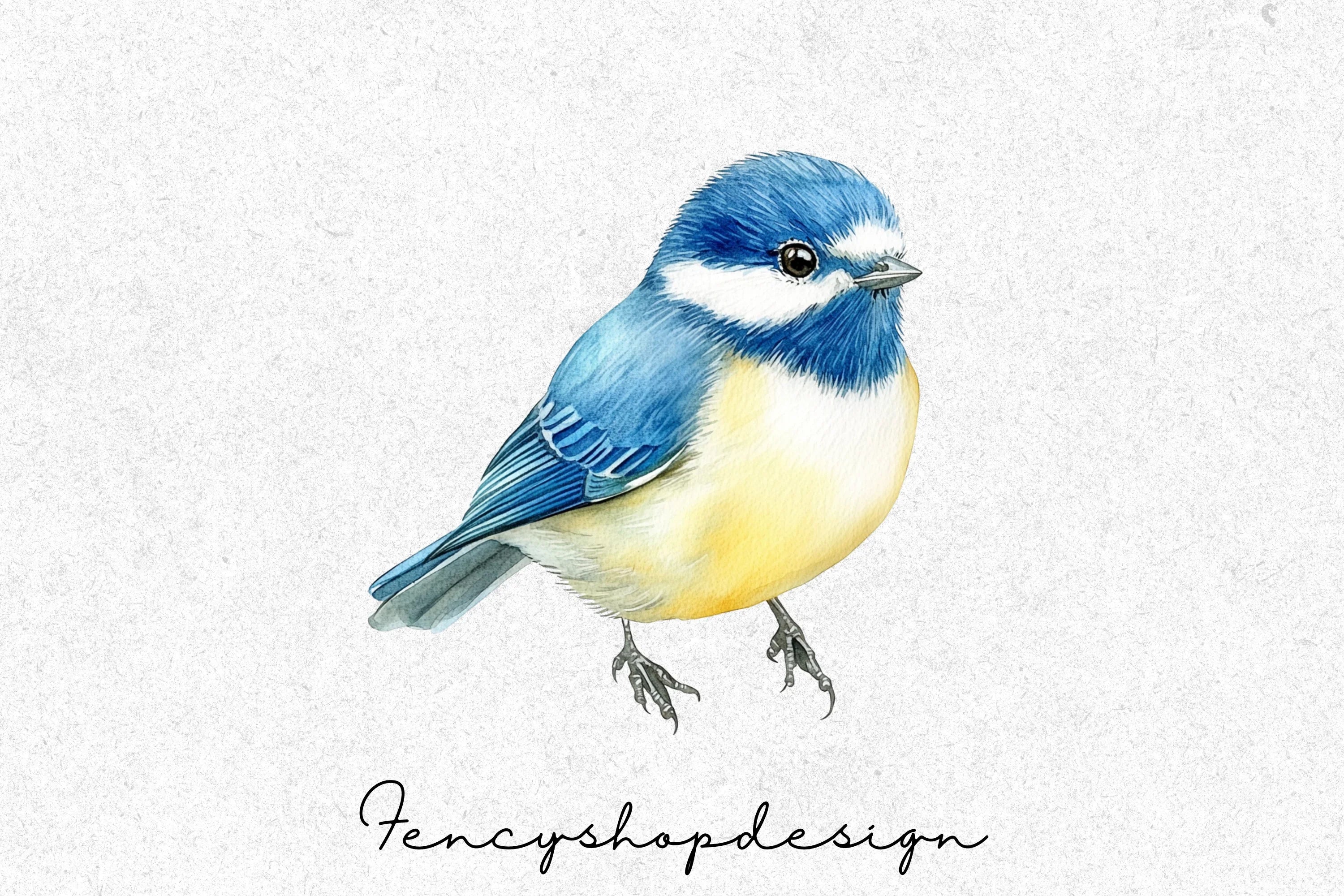 Charming Blue Tit Bird Clipart Bundle