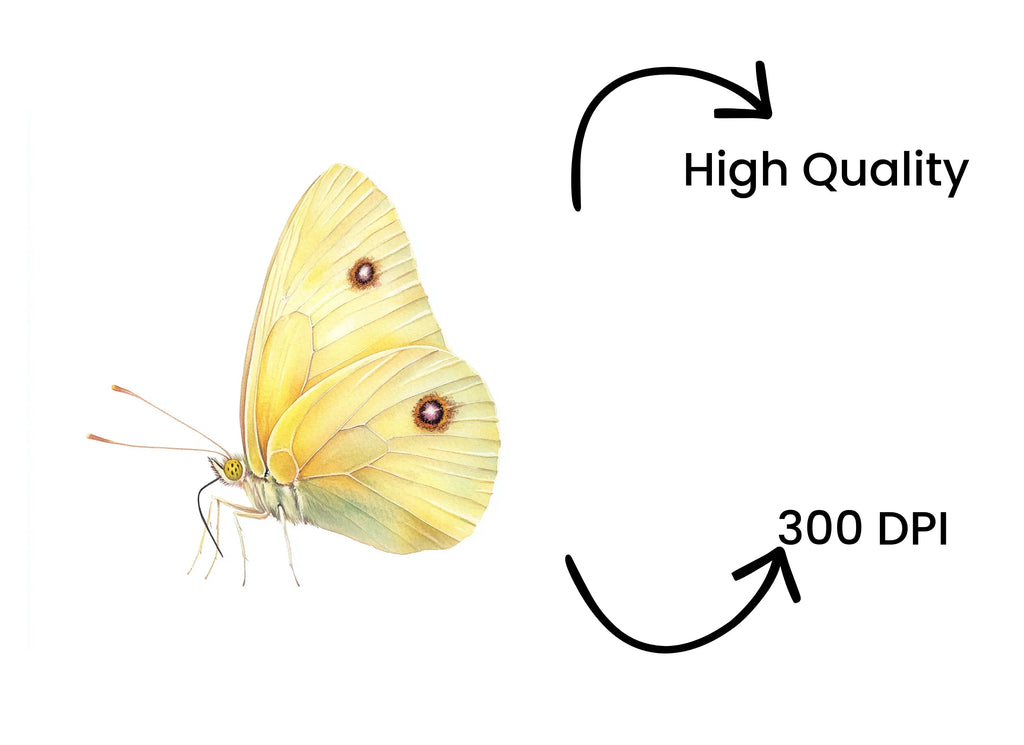 Pale Yellow Butterfly Clipart Bundle