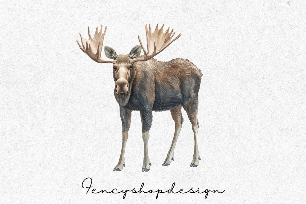 Majestic Moose Clipart Bundle