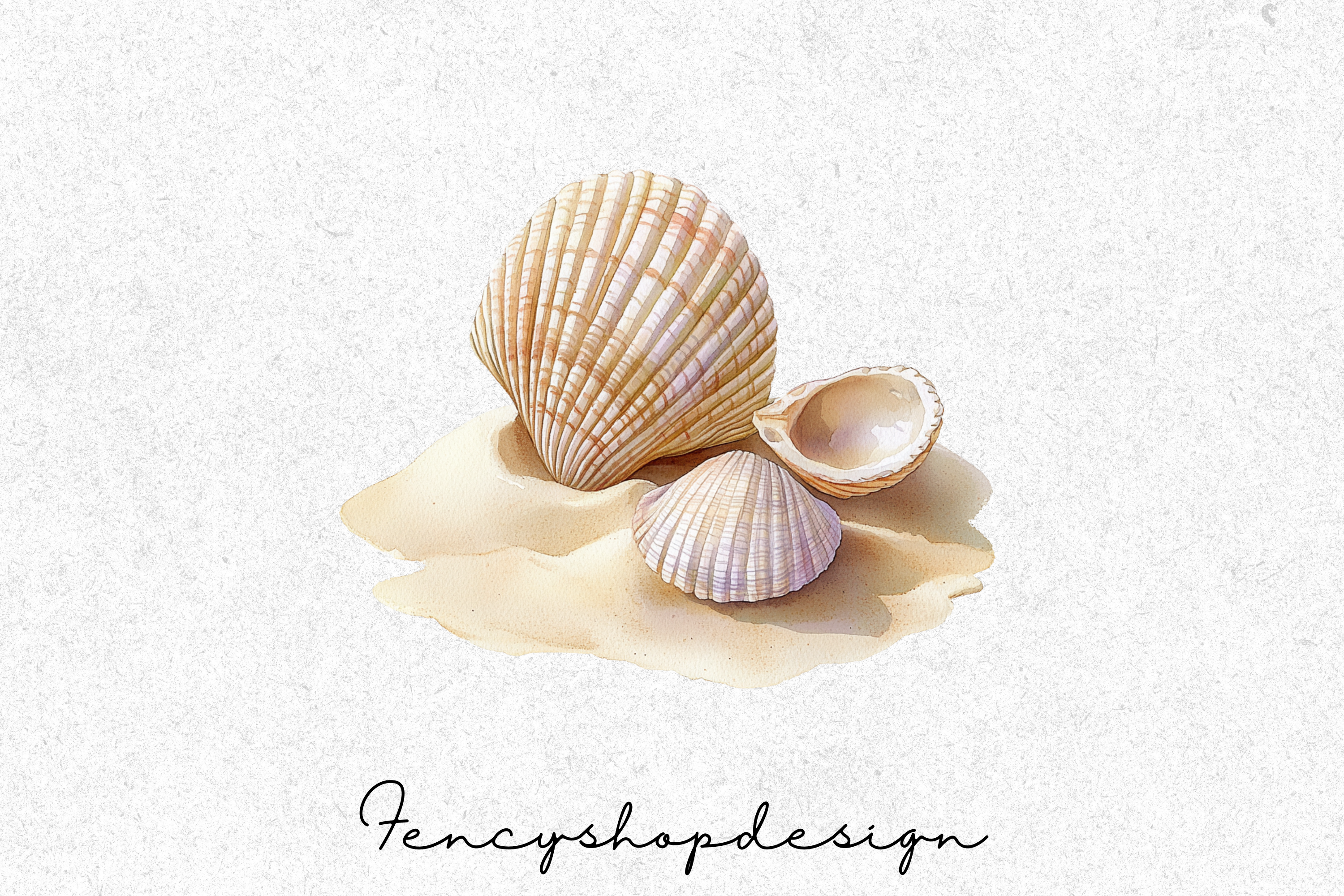 Seashell Clipart Bundle