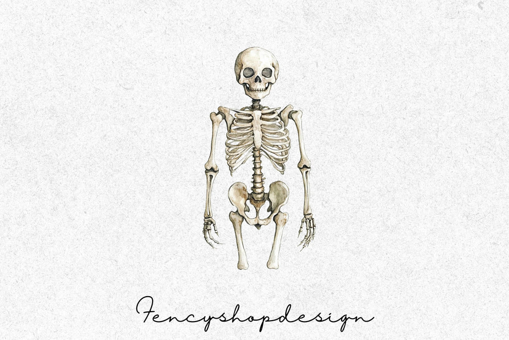 Human Dinosaur Skeleton Clipart Bundle