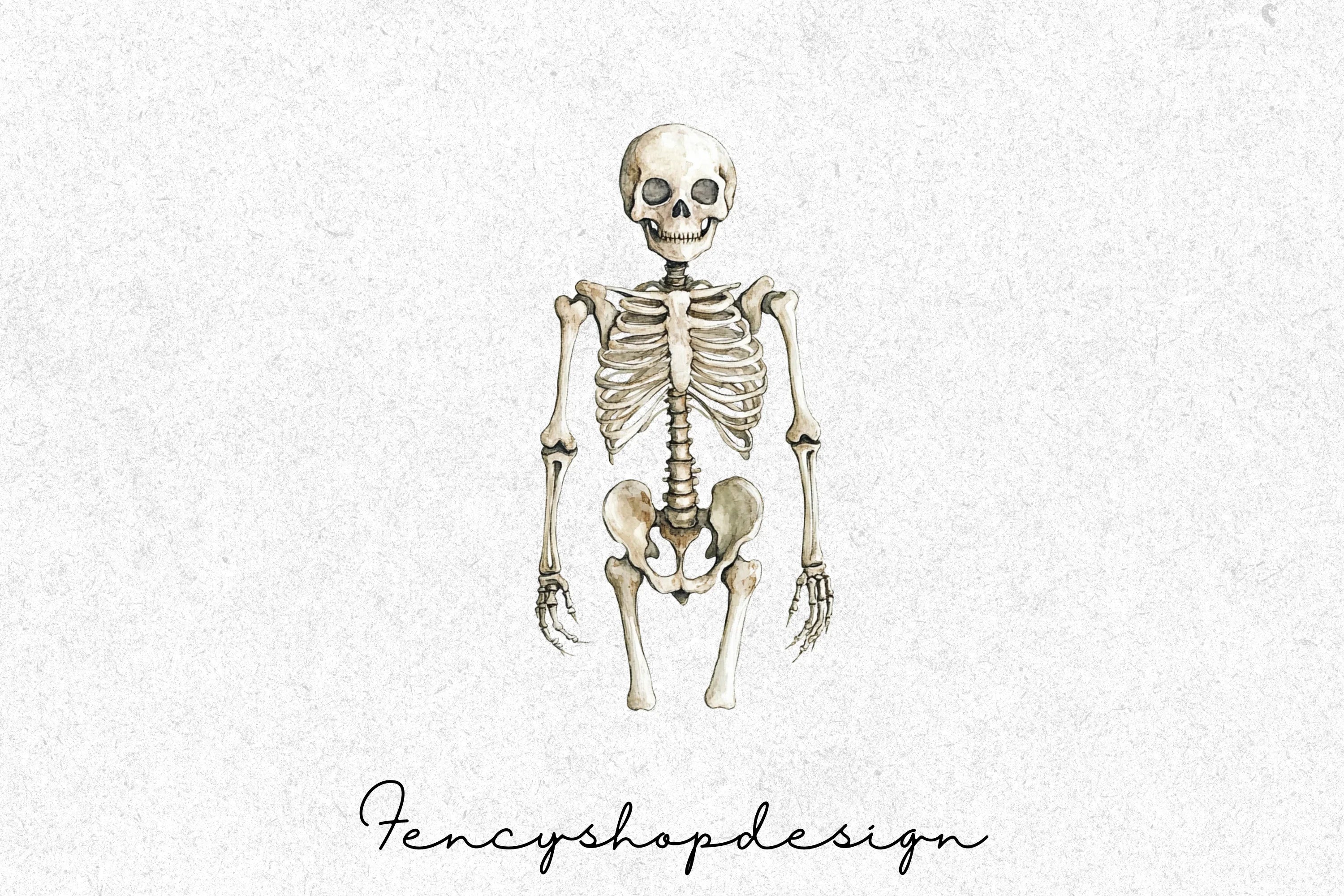 Human Dinosaur Skeleton Clipart Bundle
